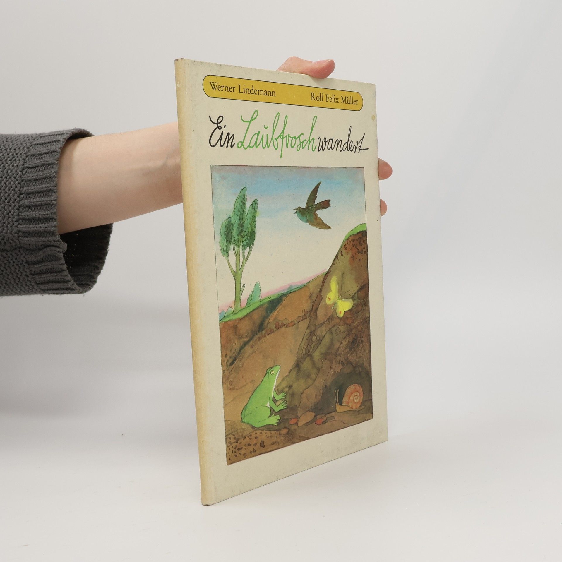 Ein Laubfrosch wandert