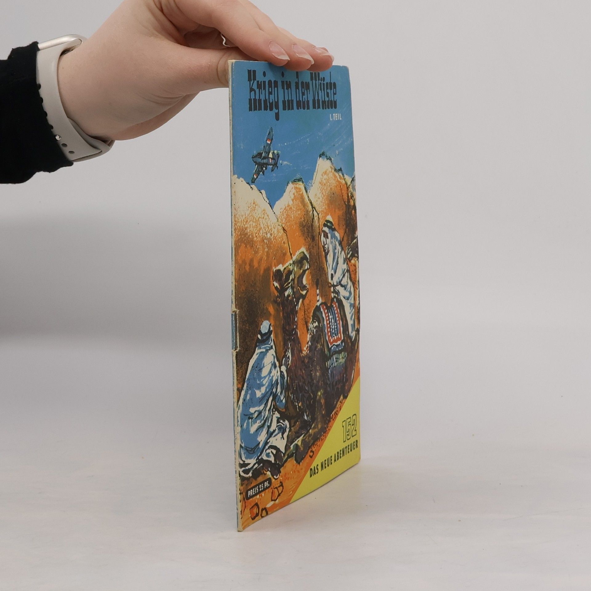 Martin Kluge Krieg in der Wuste I.