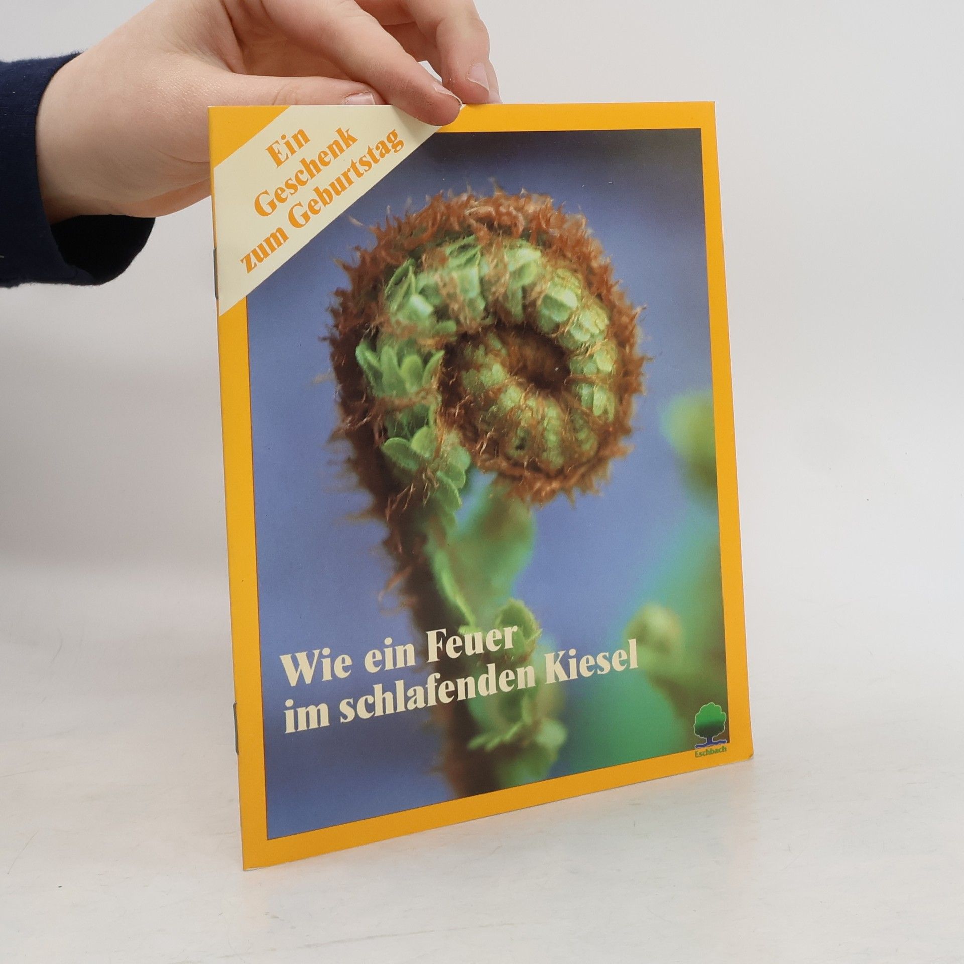 Wie ein Feuer im schlafenden Kiesel