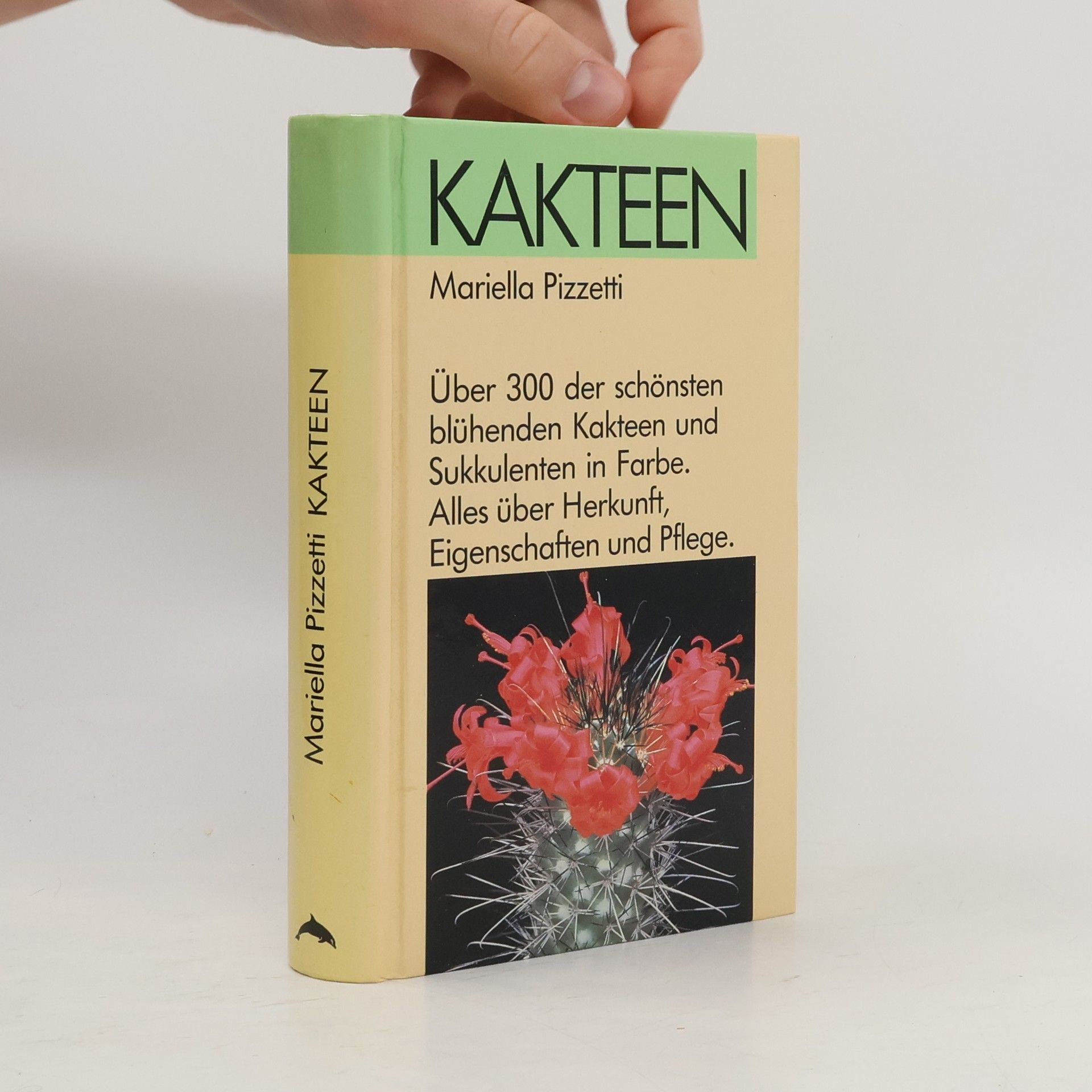 Mariella Pizzetti Kakteen