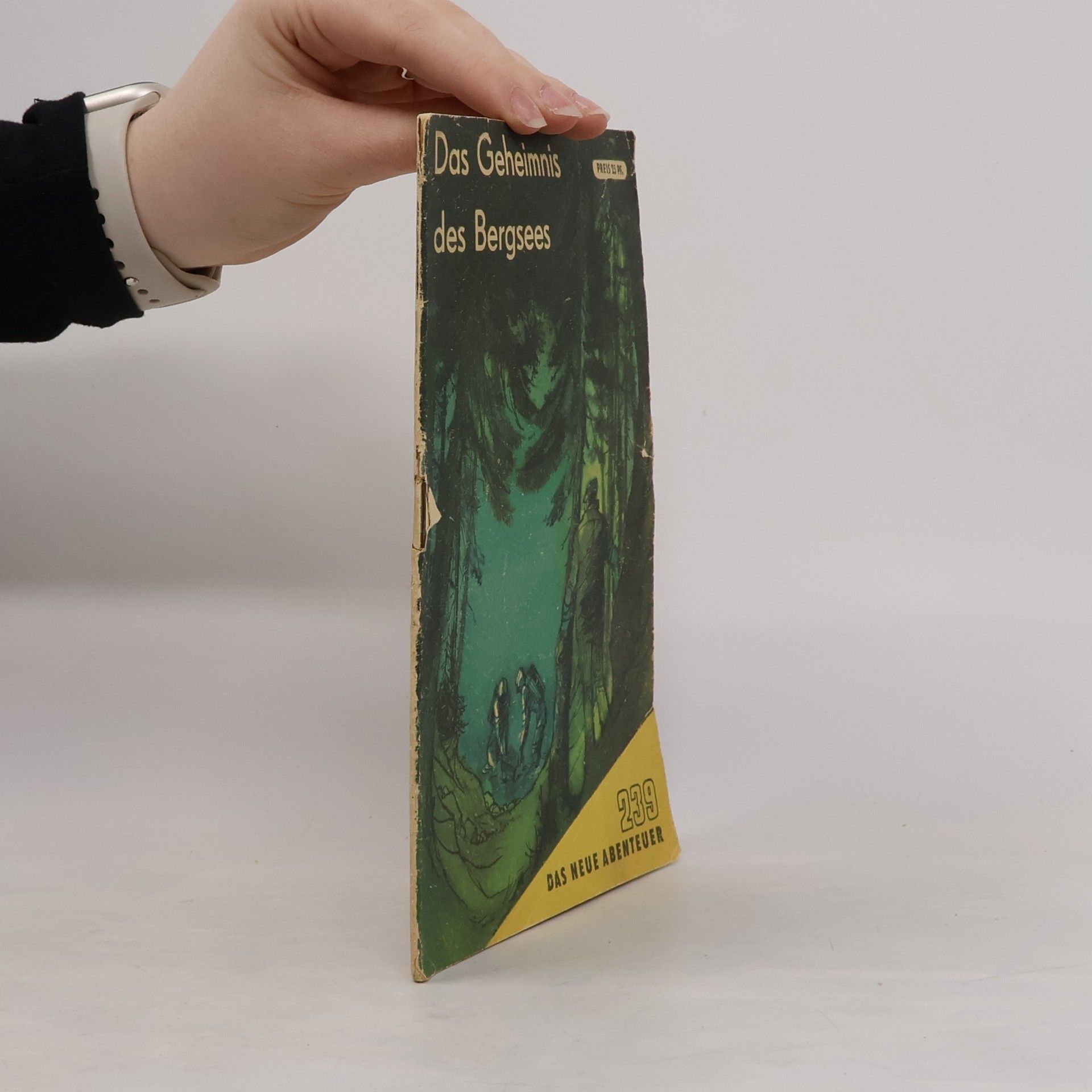 Siegfried Dietrich Das Geheimnis des Bergsees