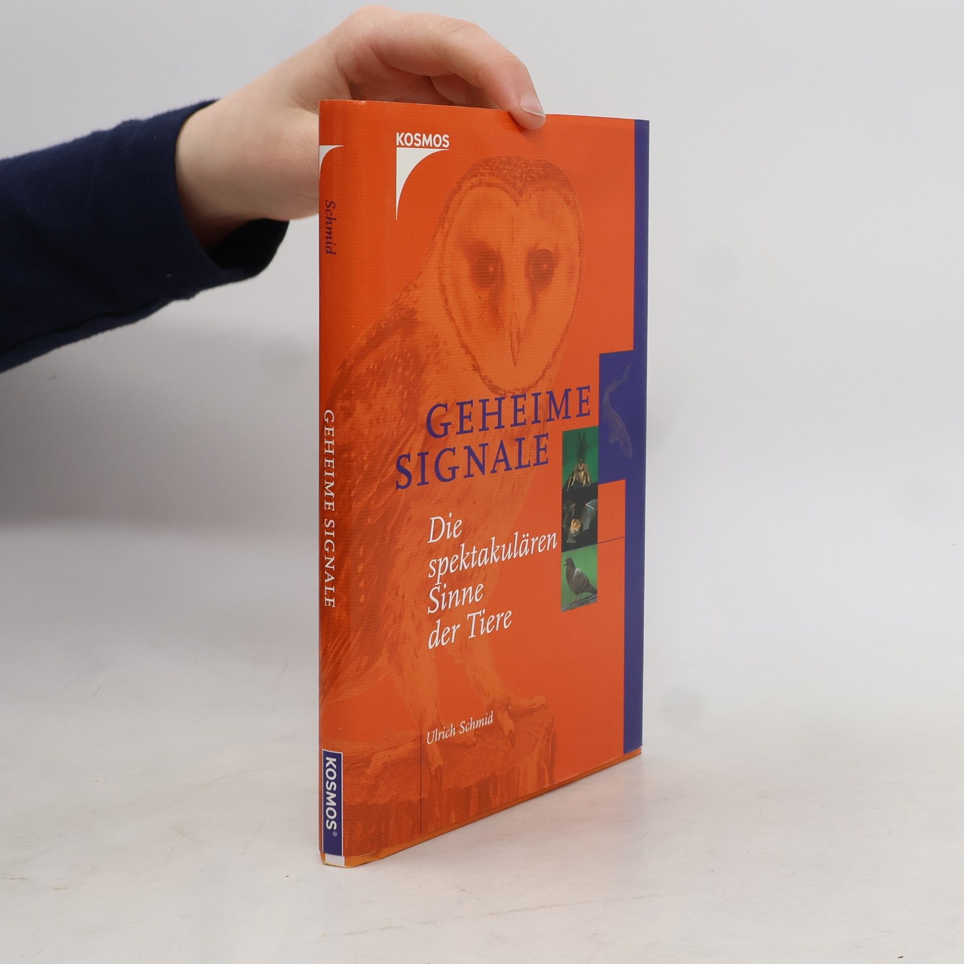 Ulrich Schmid Geheime signale