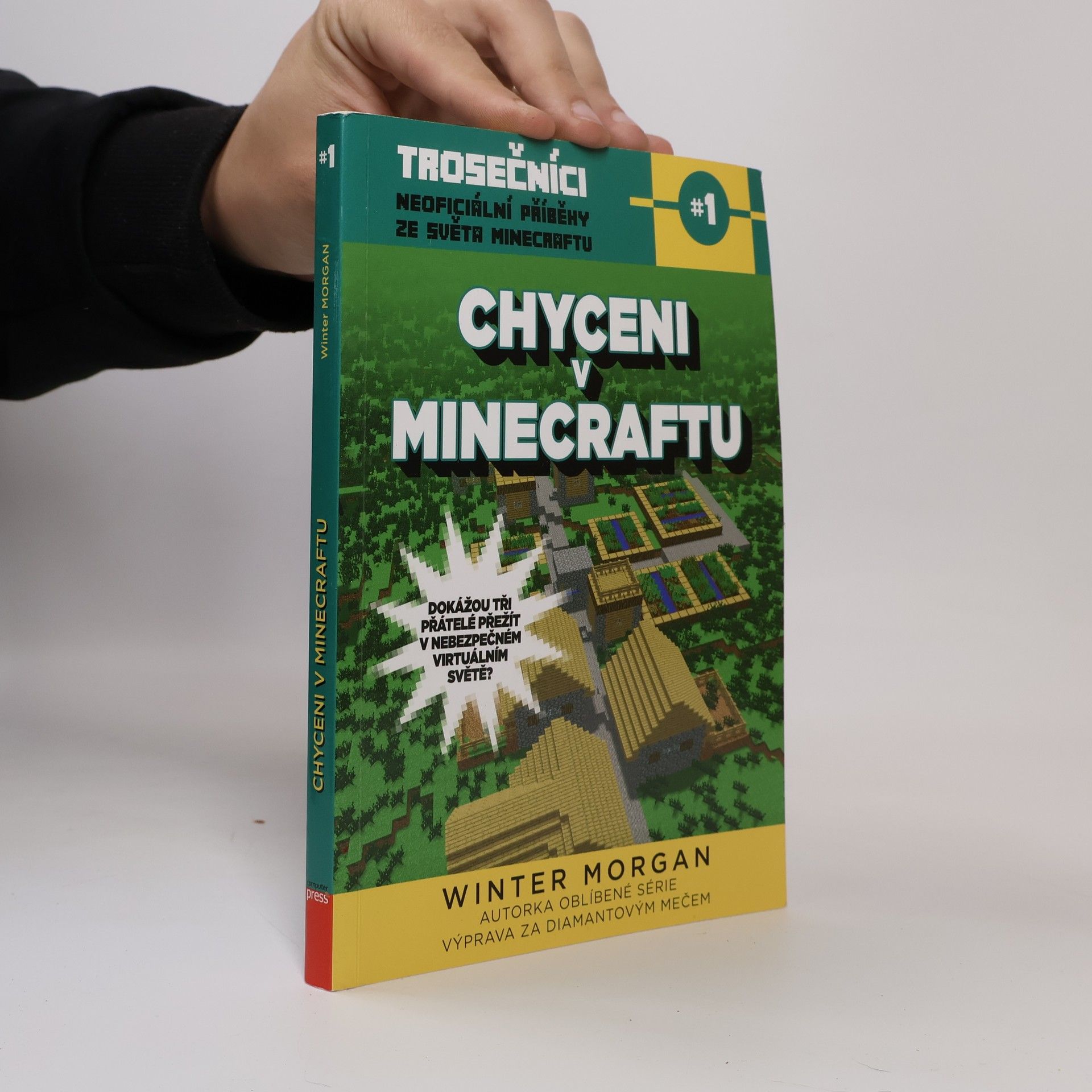 Winter Morgan Trosečníci. Kniha první, Chyceni v Minecraftu