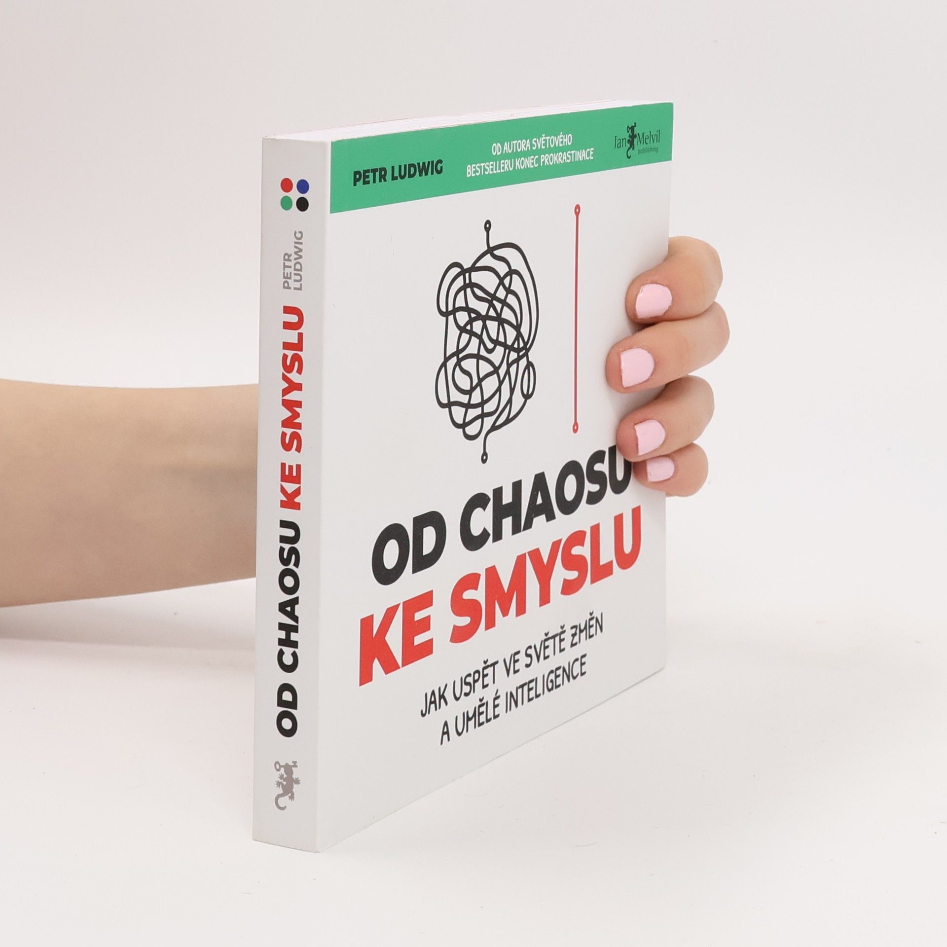 Petr Ludwig Od chaosu ke smyslu