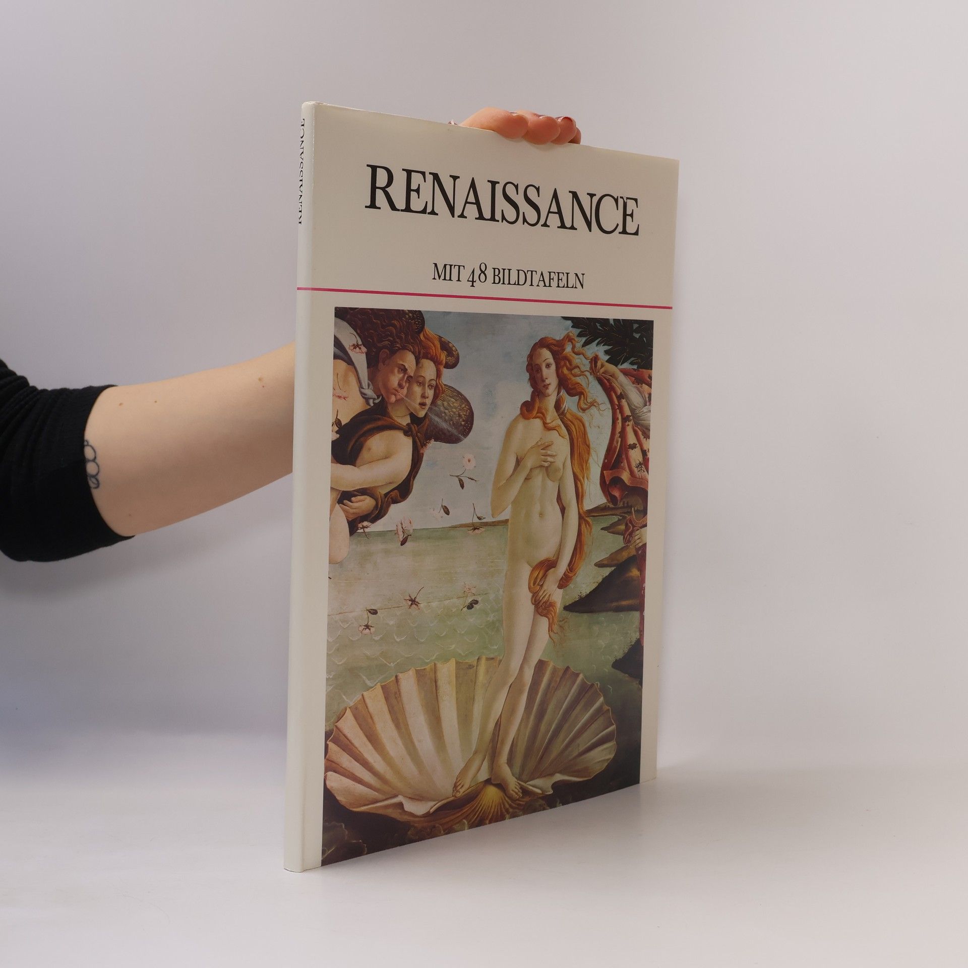 Kolektiv autorů Renaissance mit 48 Bildtafeln