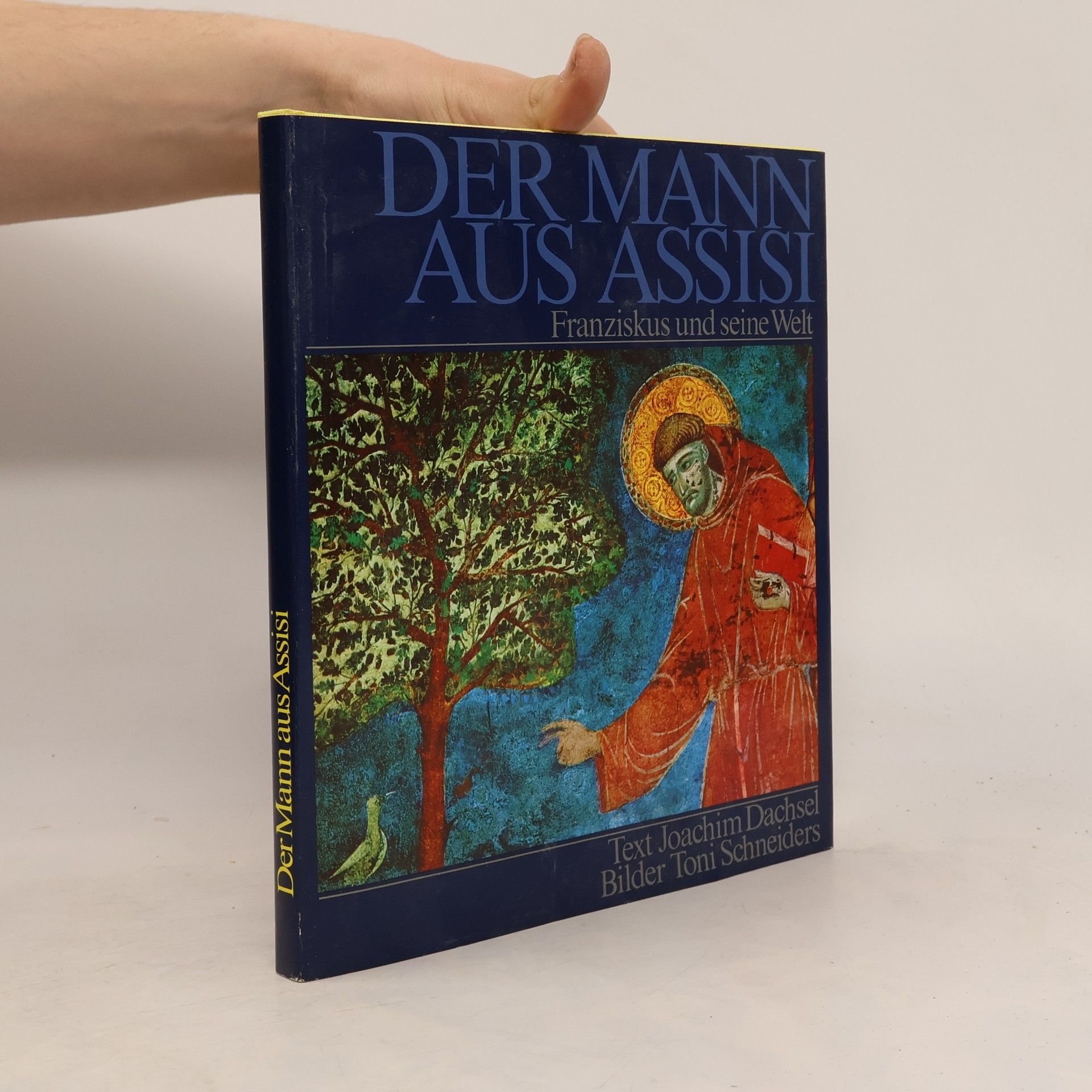 Collectif d'auteurs Der Mann aus Assisi. Franziskus und seine Welt