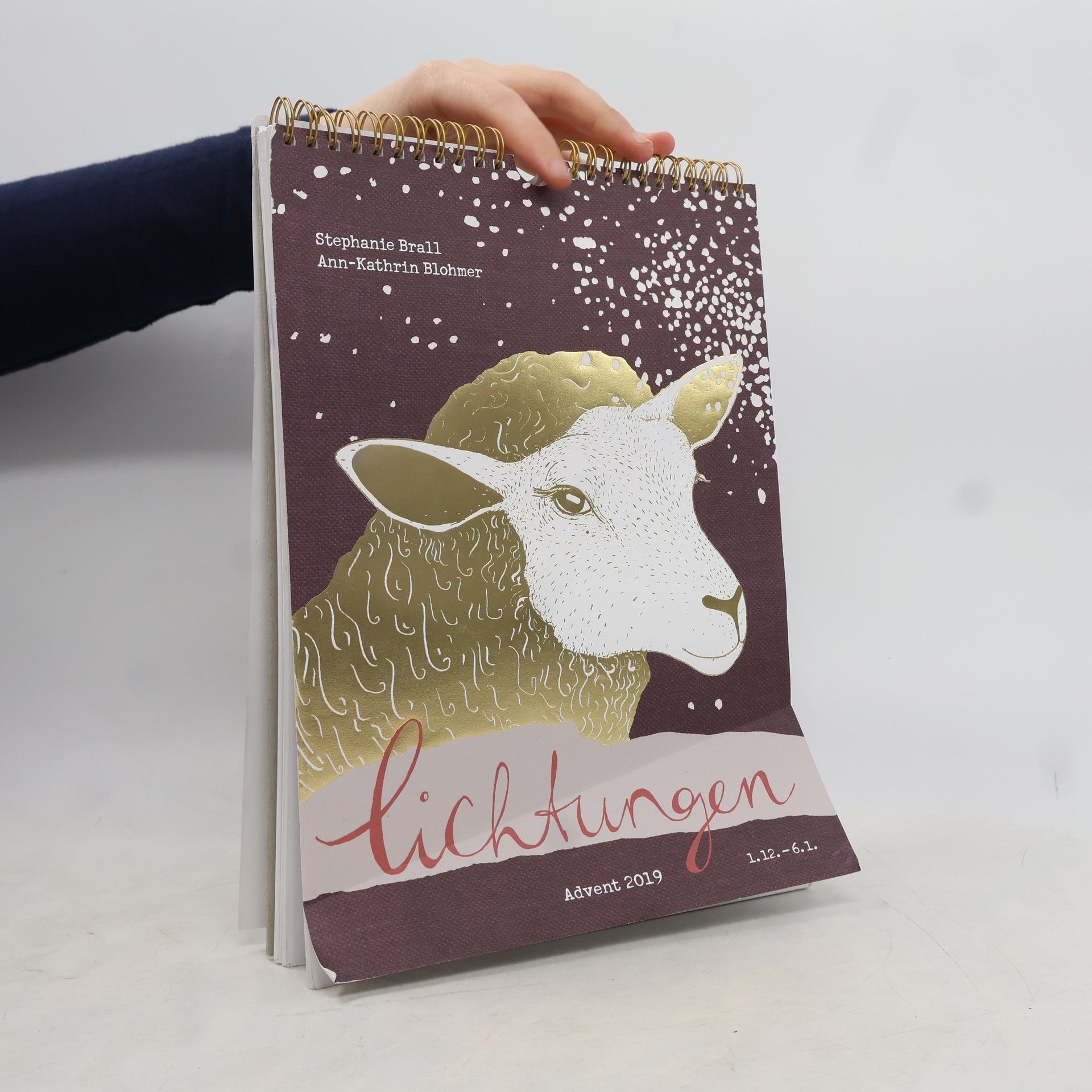 Stephanie Brall Lichtungen