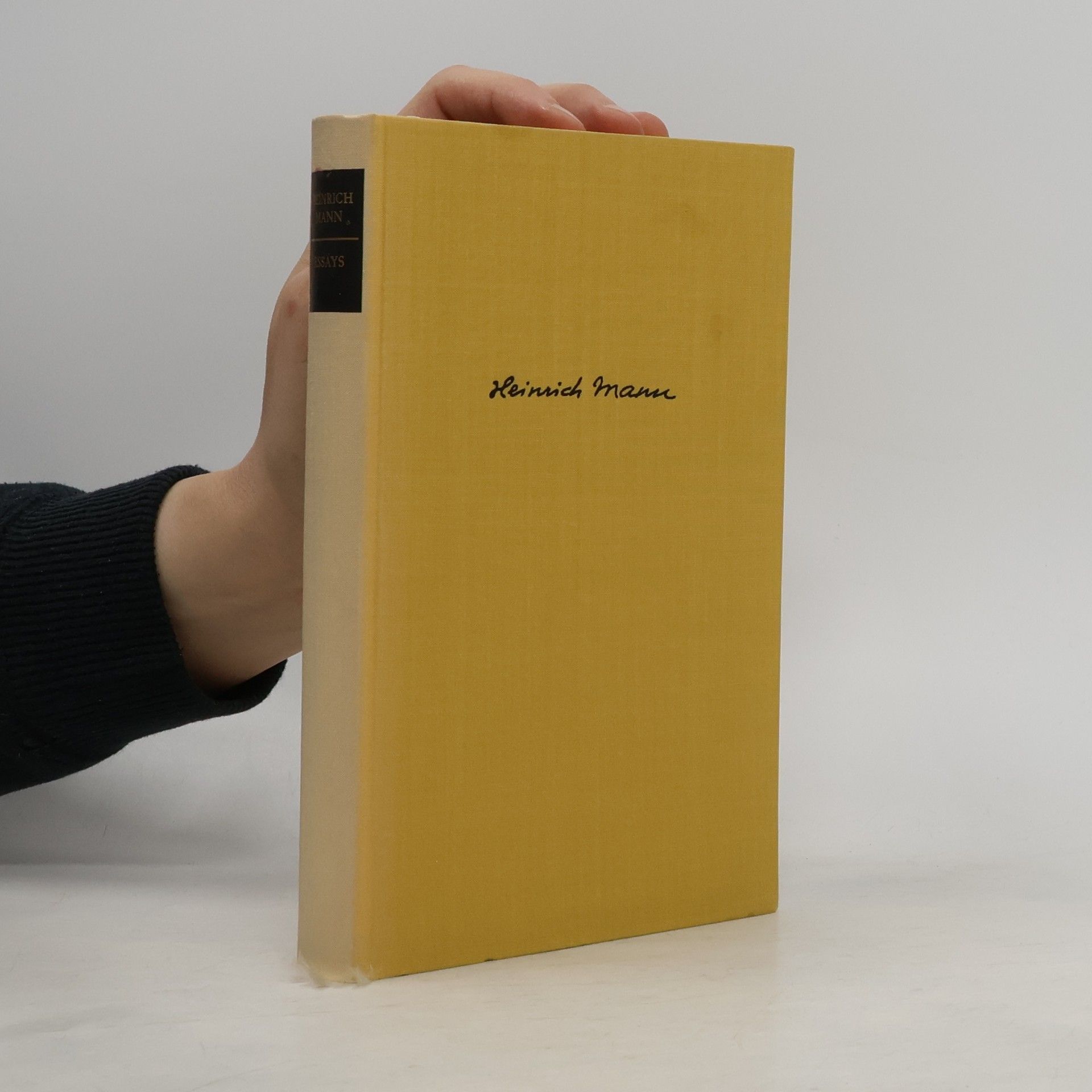 Heinrich Mann Essays