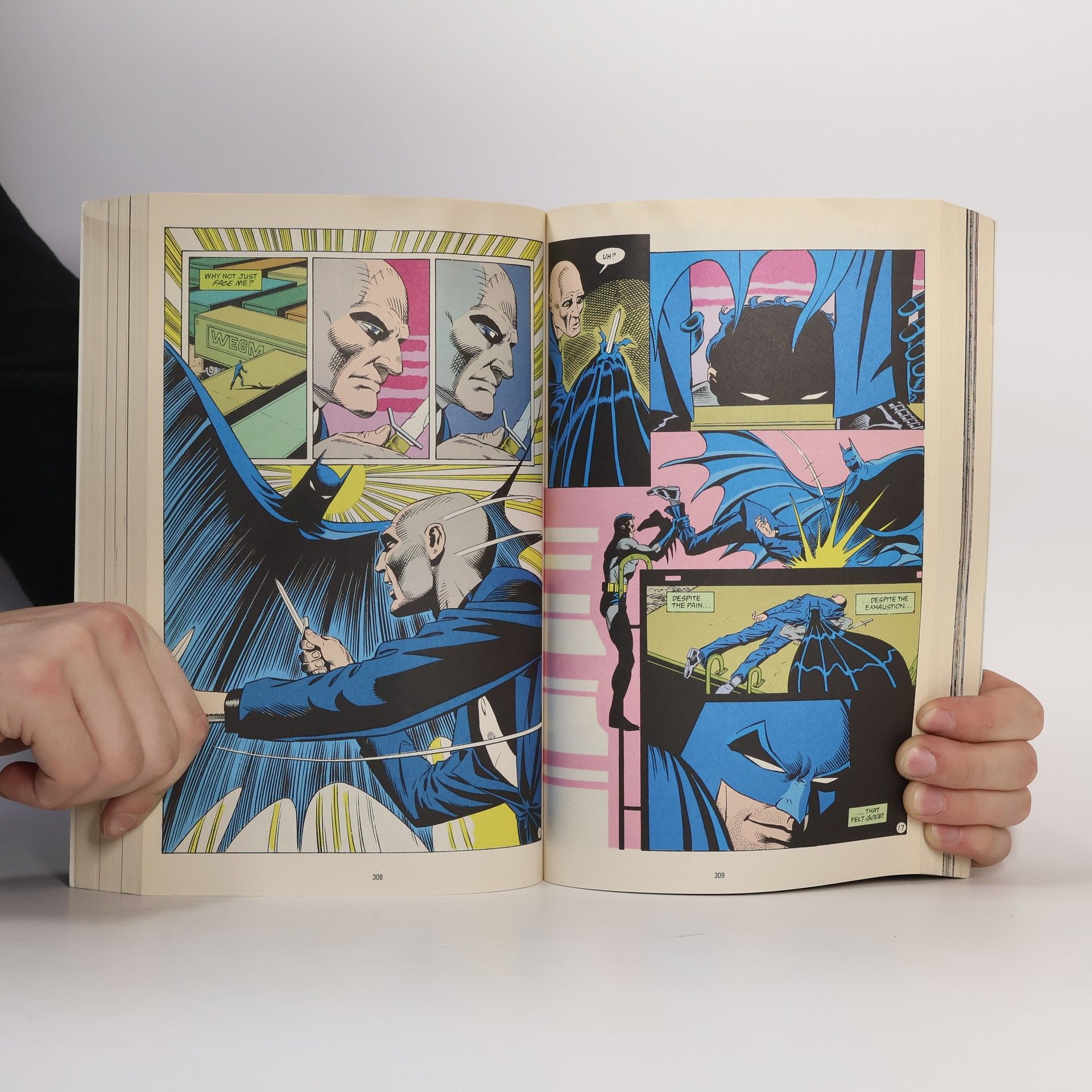 Collectif d'auteurs Batman. Knightfall. Volume 1