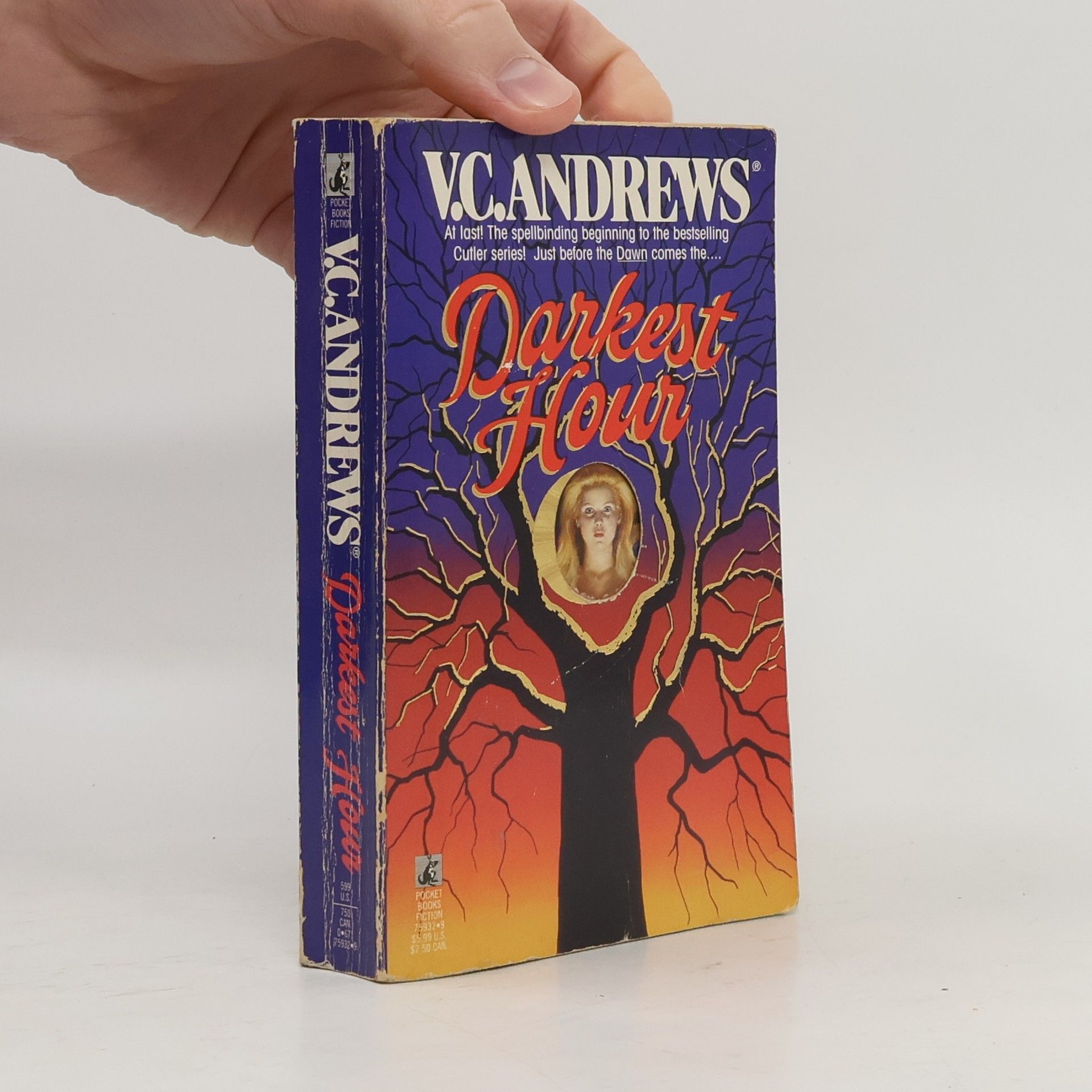 V. C. Andrews Cutler series - 5: Darkest Hour