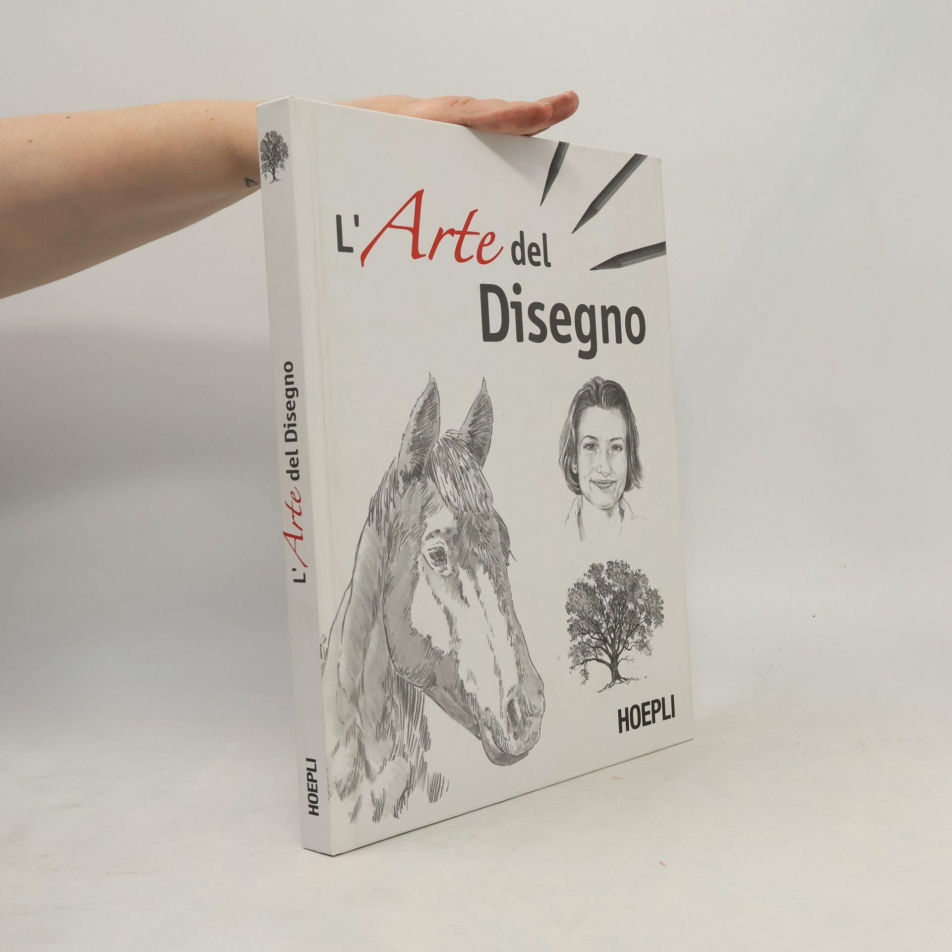 Kolektiv autorů L'arte del disegno