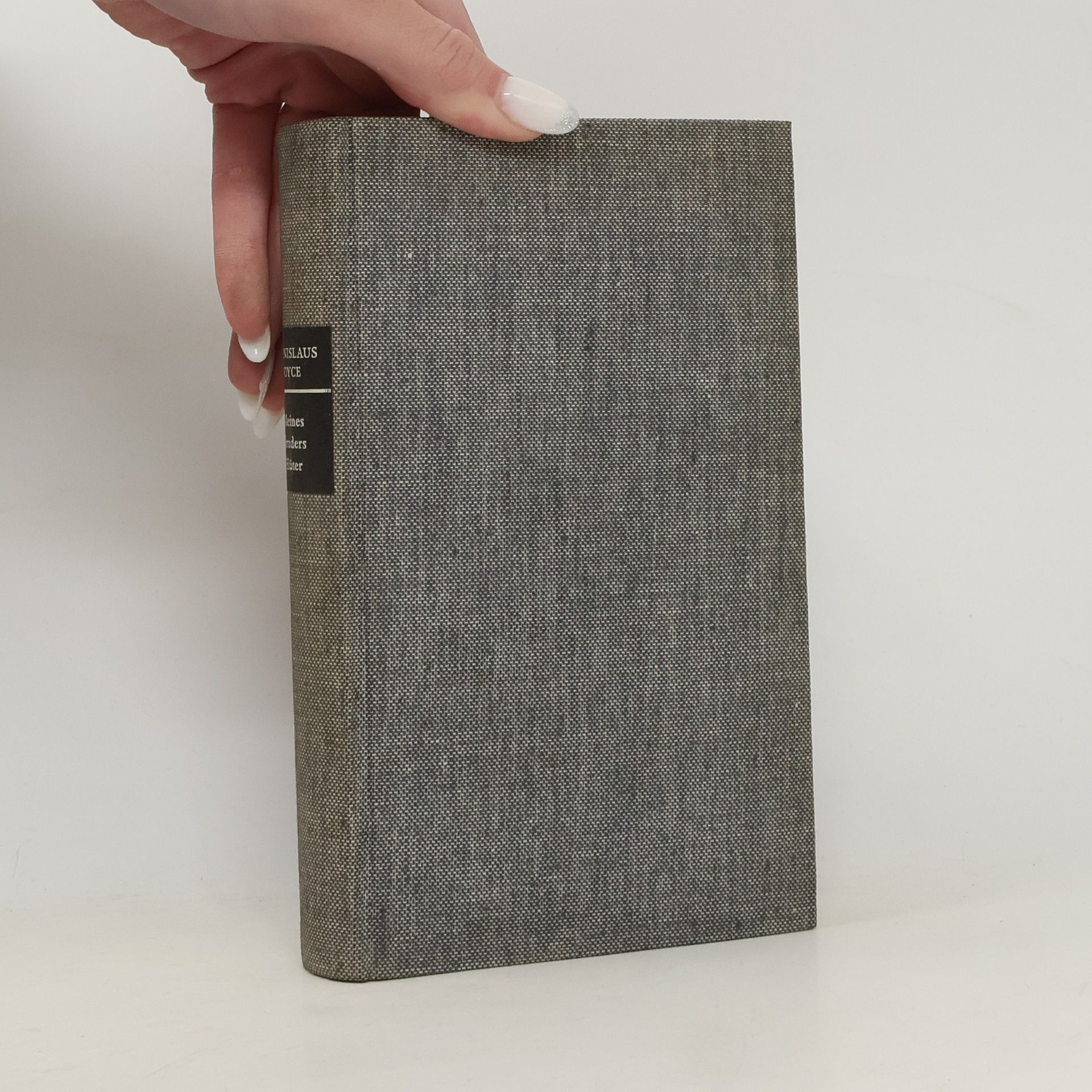 Stanislaus Joyce Meines Bruders Hüter