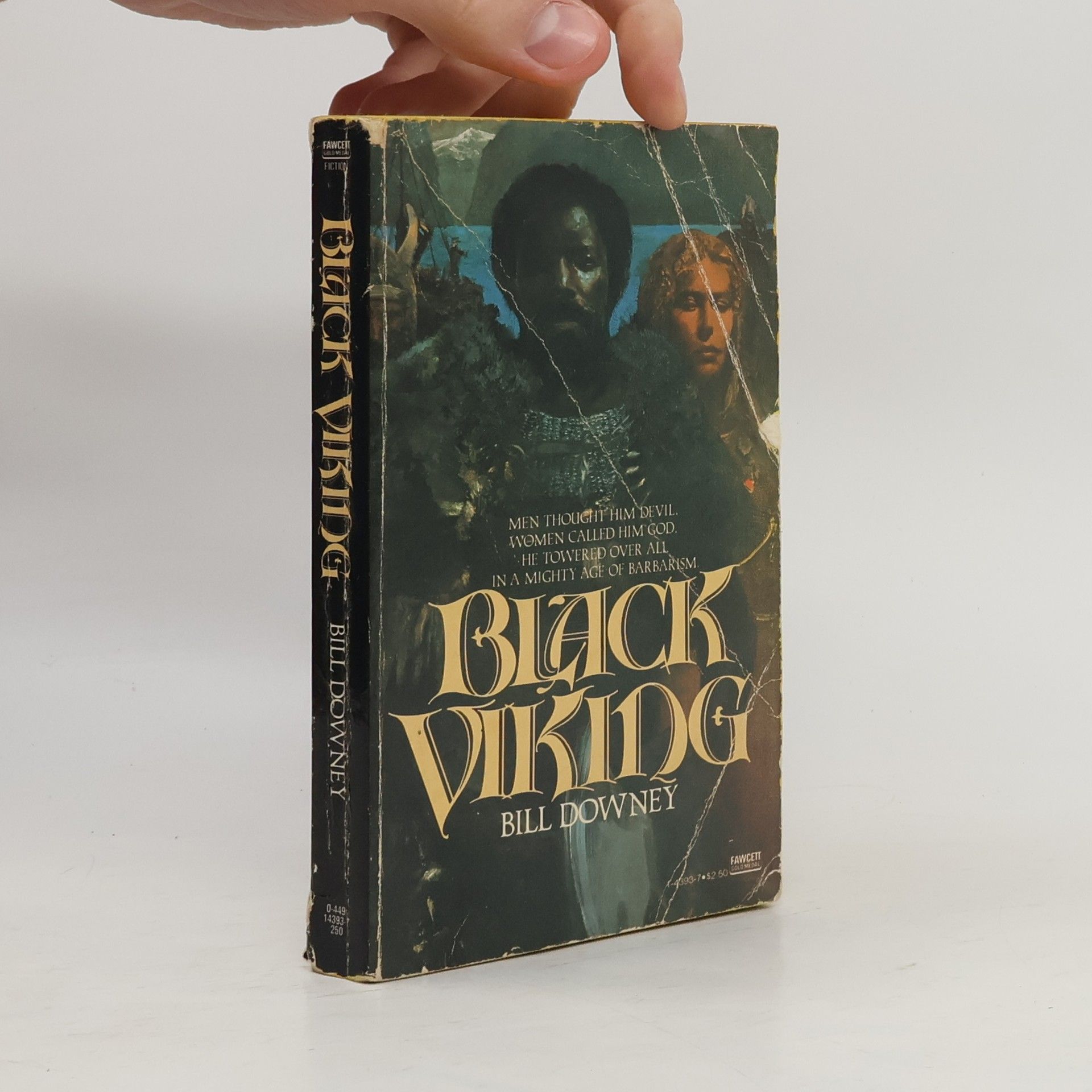 Bill Downey Black Viking