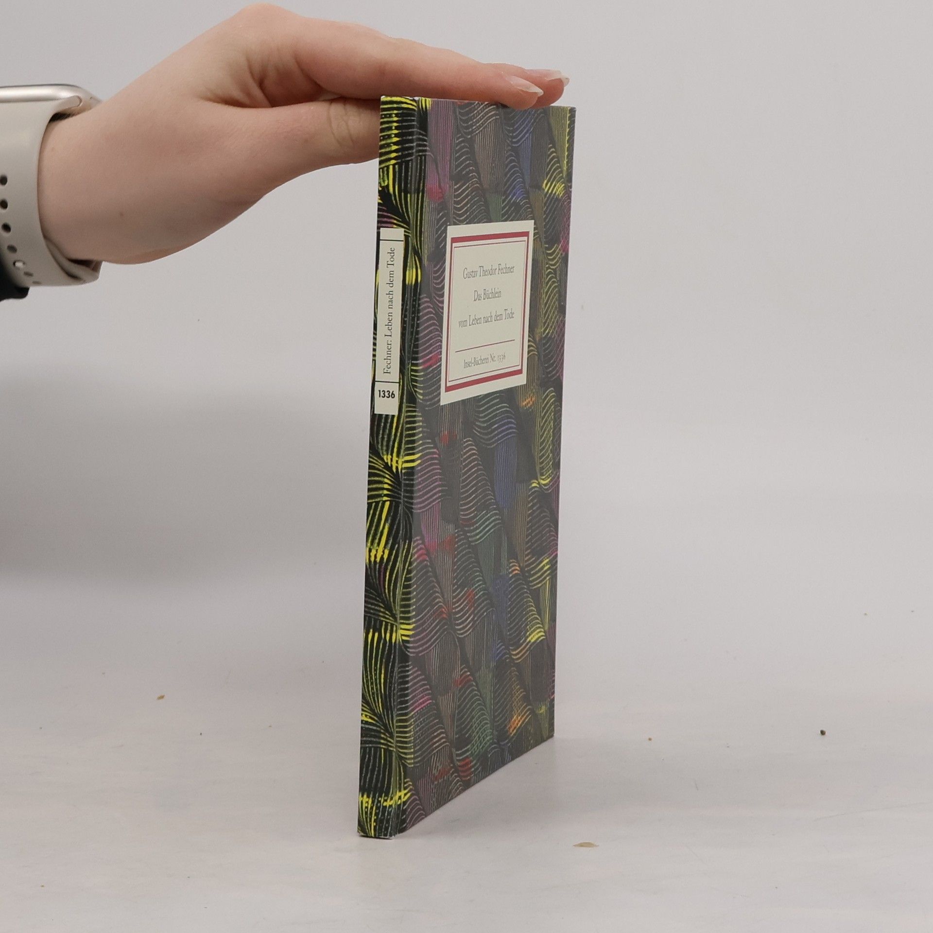 Gustav Fechner Das Büchlein vom Leben nach dem Tode