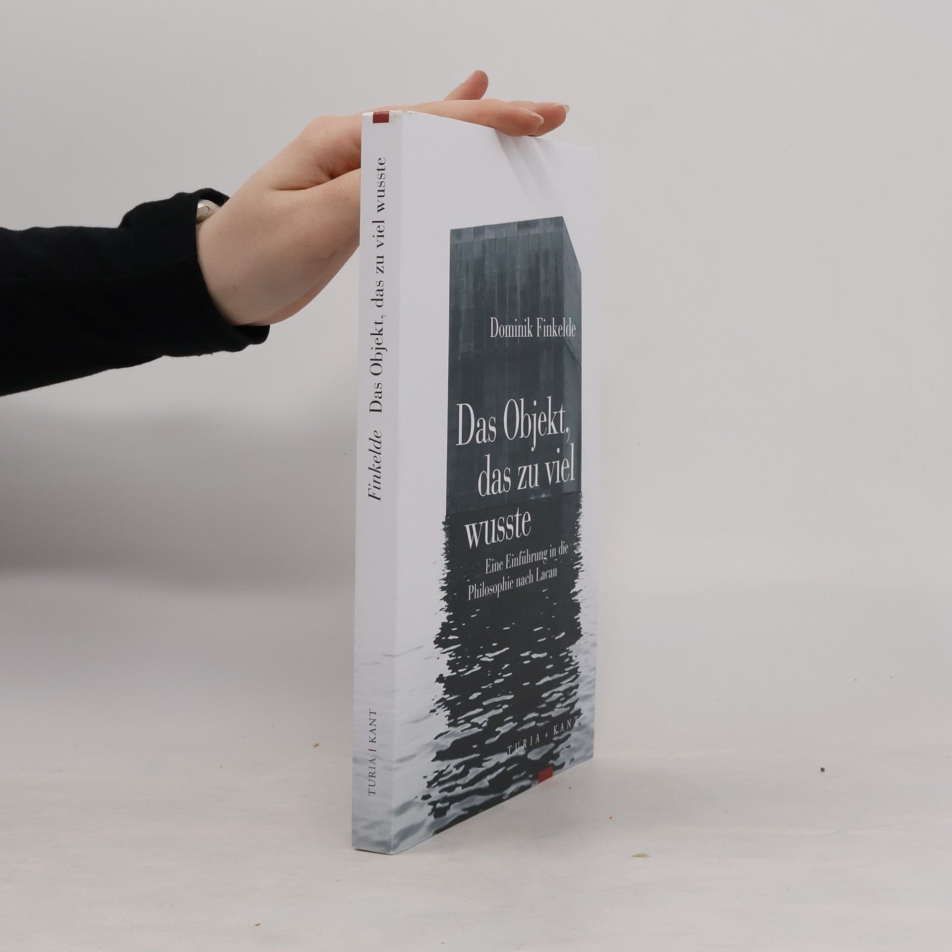 Dominik Finkelde Das Objekt, das zu viel wusste