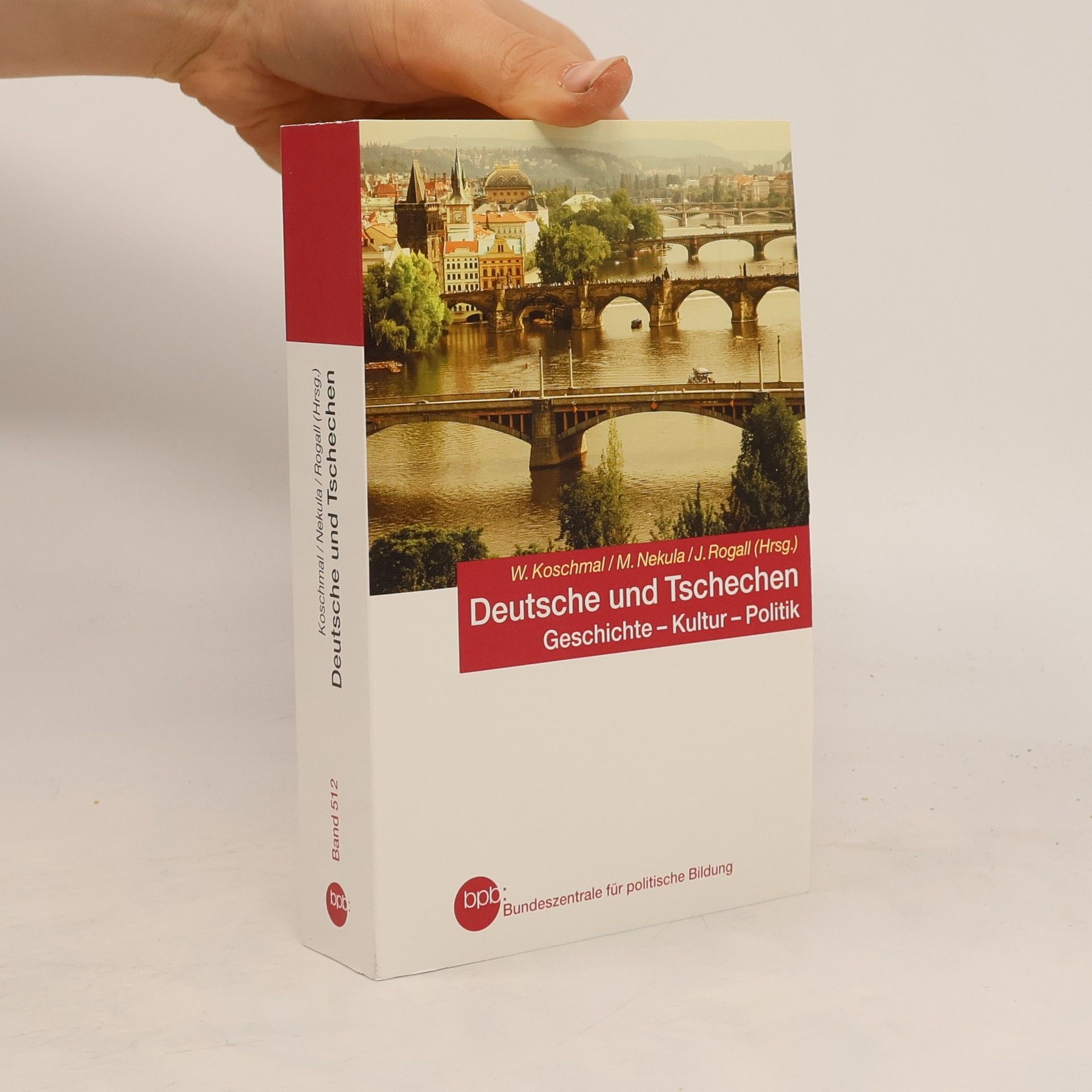 Deutsche und Tschechen. Geschichte, Kultur, Politik