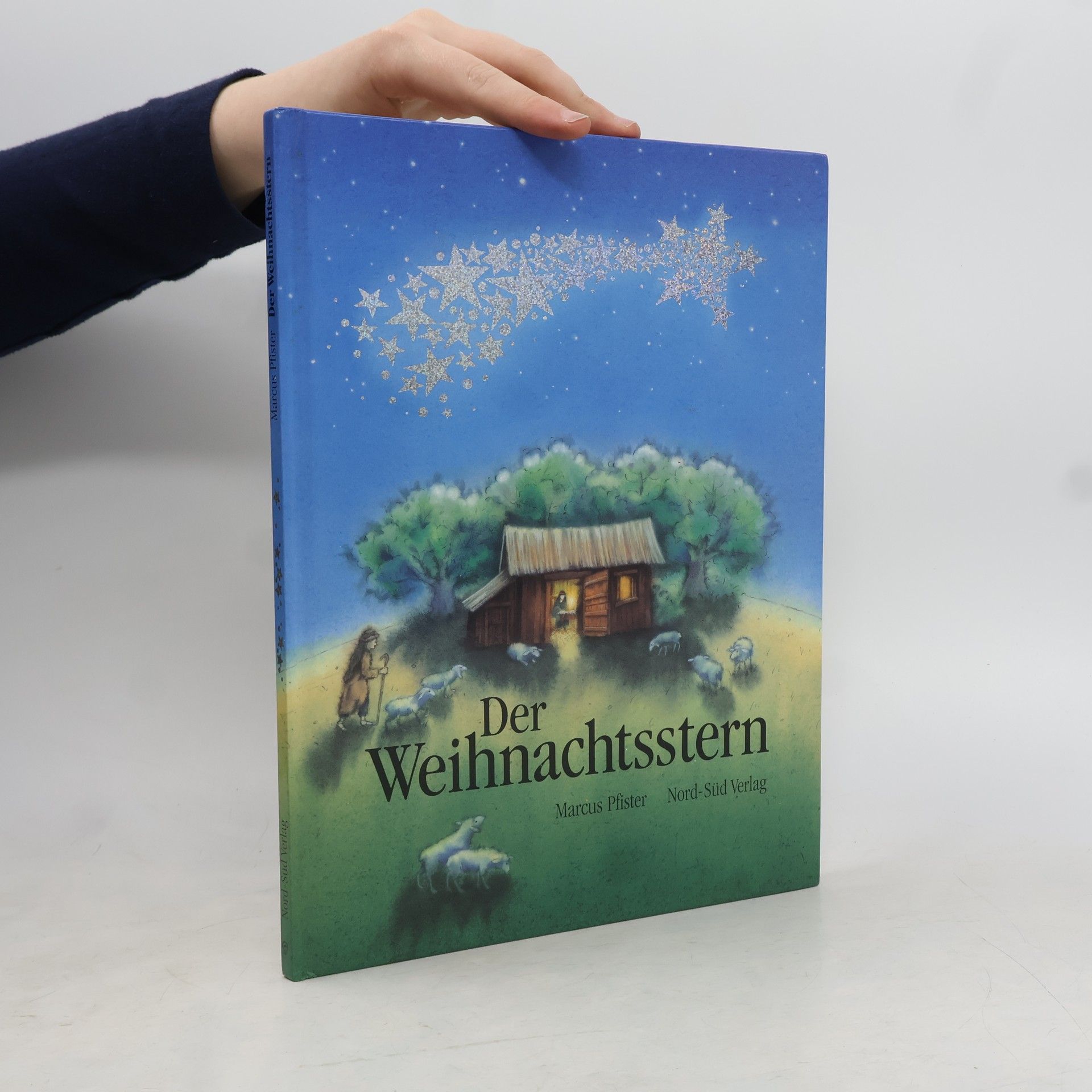 Marcus Pfister Der Weihnachtsstern