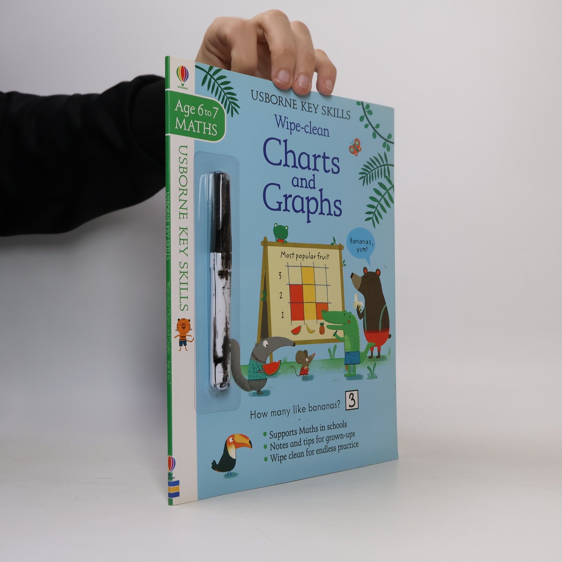 Key Skills Wipe-Clean - Charts and Graphs - Age 6 to 7