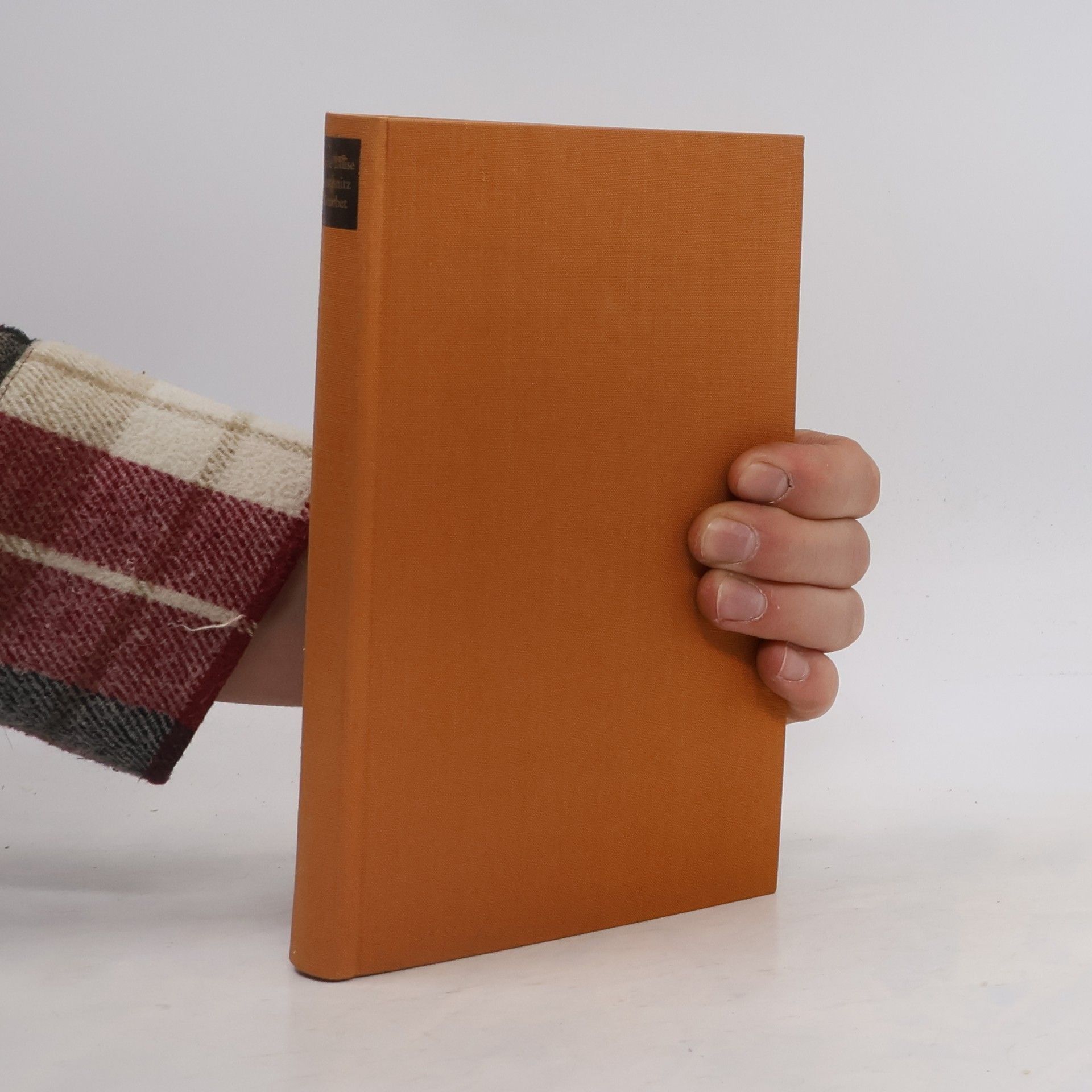 Marie Luise Kaschnitz Die Wahrheit, nicht der Traum. Das Leben des Malers Courbet