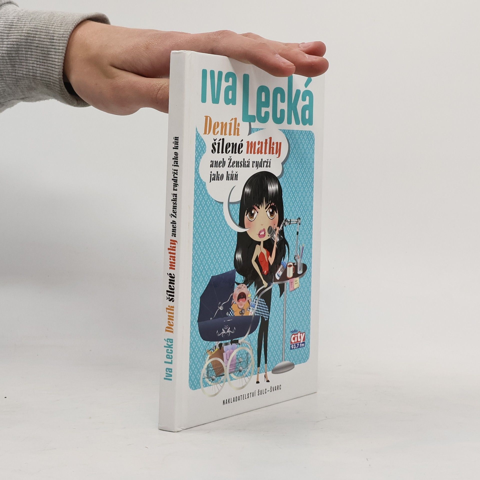 Iva Lecká Deník šílené matky