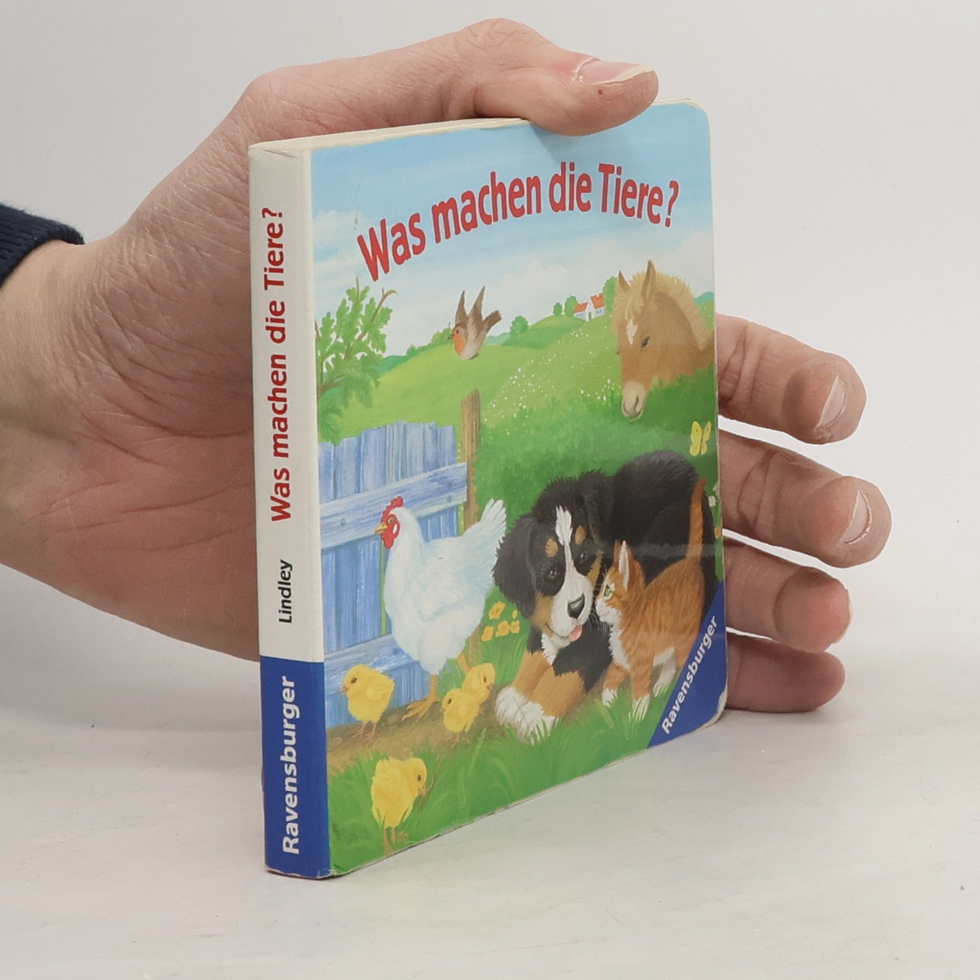 Katrin Lindley Was machen die Tiere?