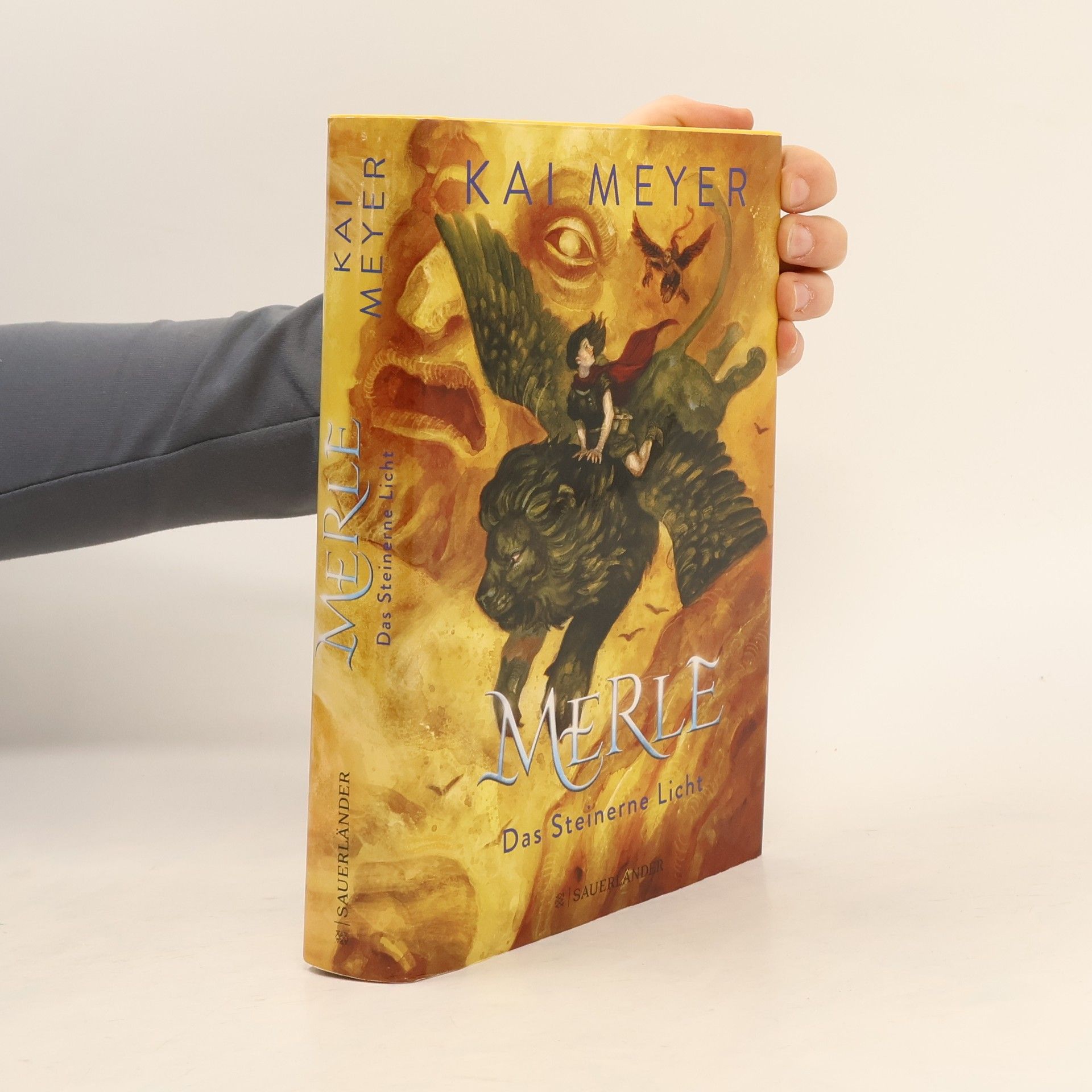 Kai Meyer Das Steinerne Licht / Merle-Zyklus Bd.2