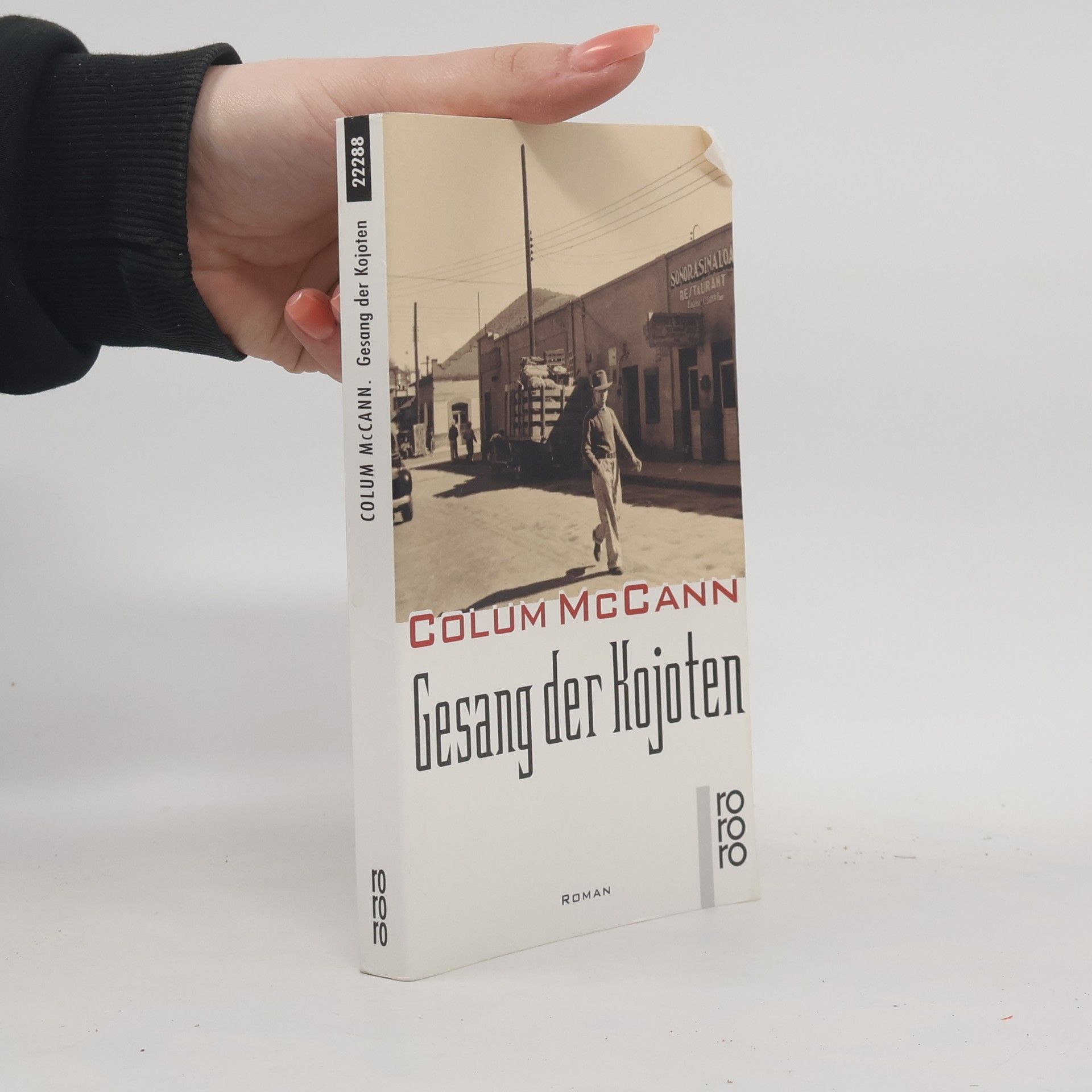 Colum McCann Gesang der Kojoten
