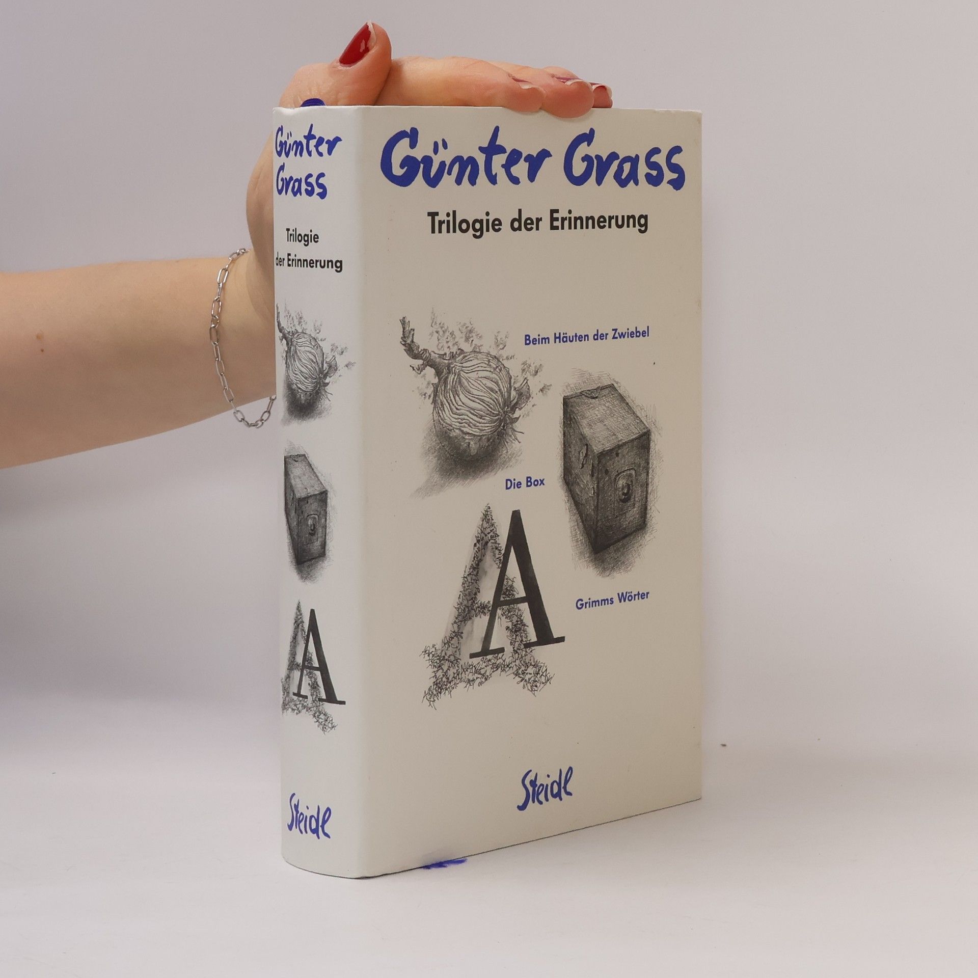 Günter Grass Trilogie der Erinnerung