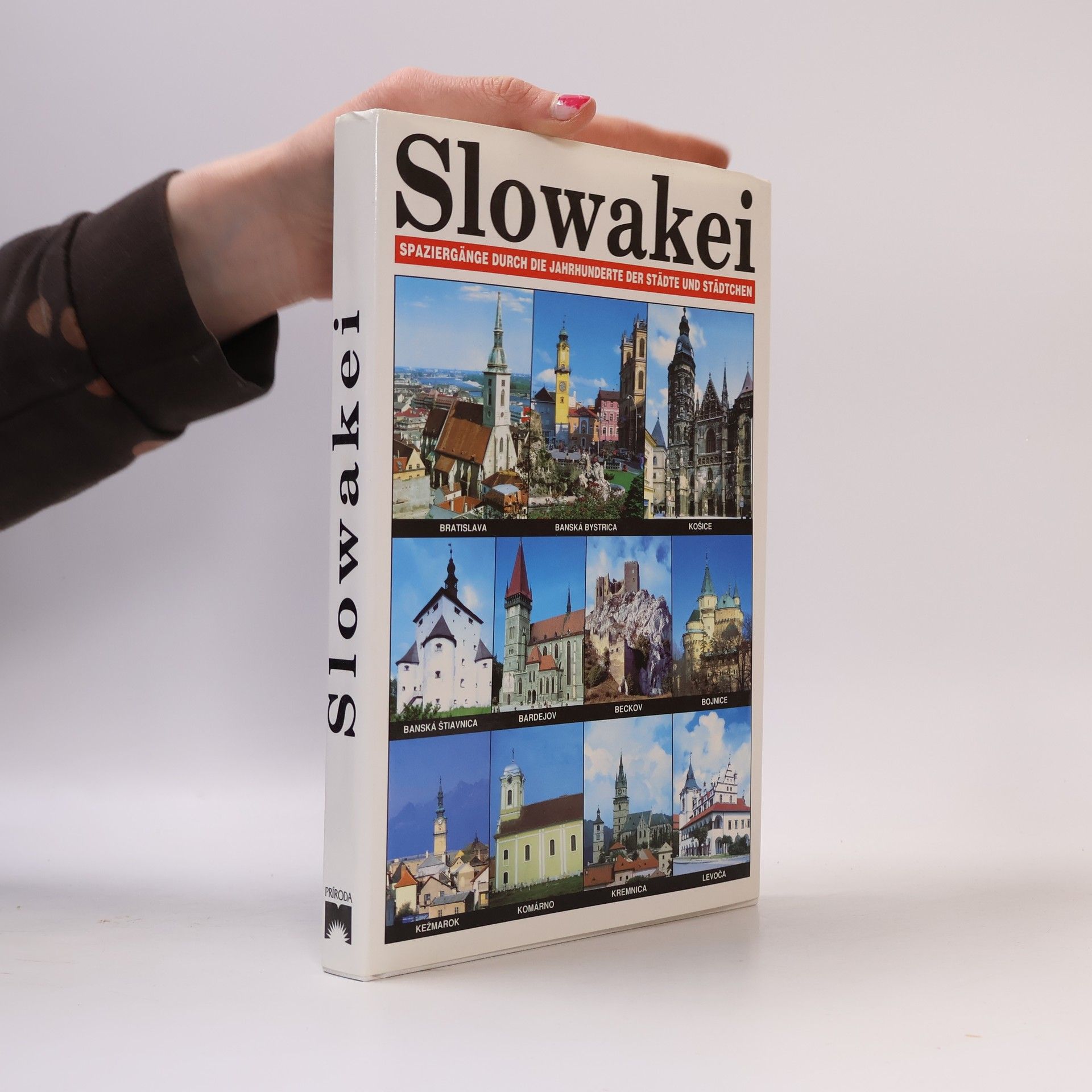 Kolektiv autorů Slowakei