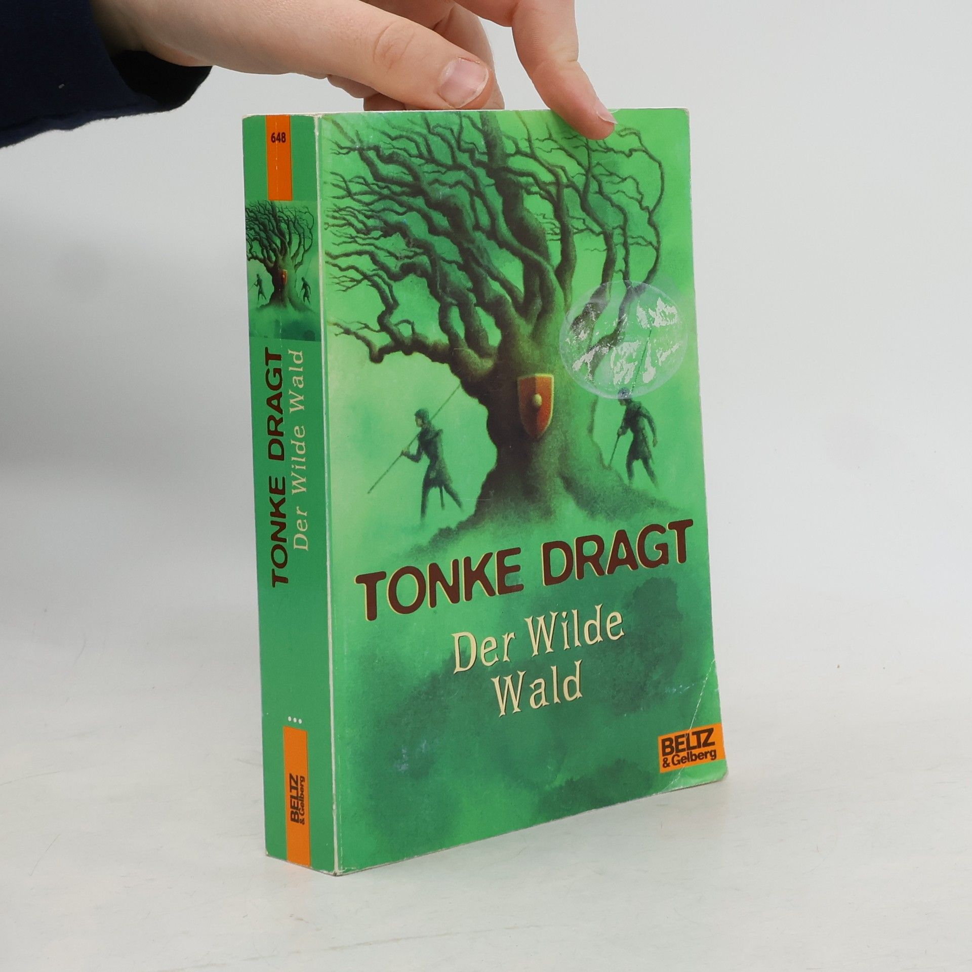 Tonke Dragt Der wilde Wald