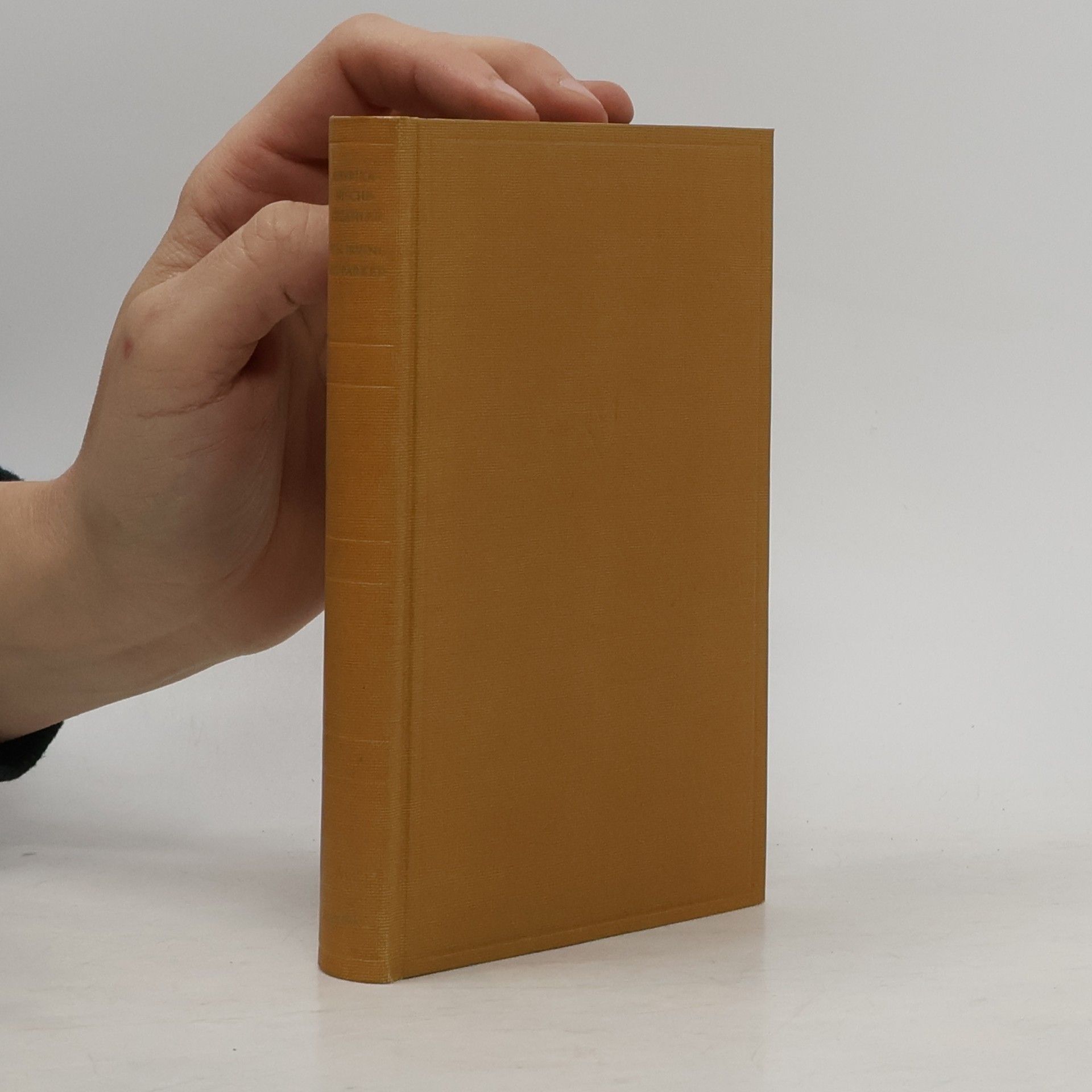 Elisabeth Schmack Amerikanische Erzähler. Von F. Scott Fitzgerald bis William Goyen