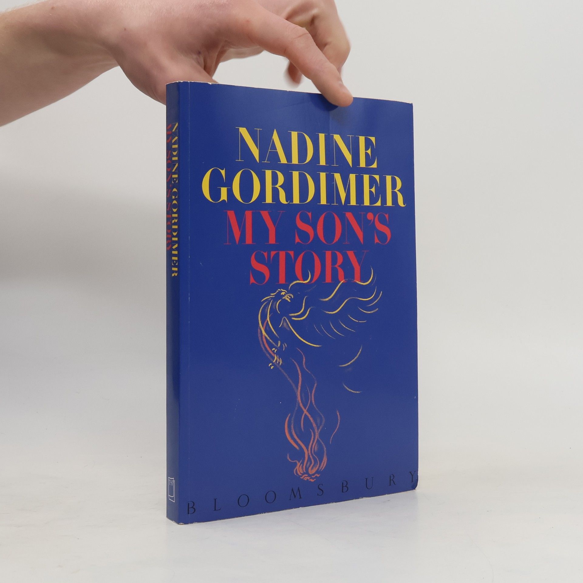 Nadine Gordimer My Son's Story