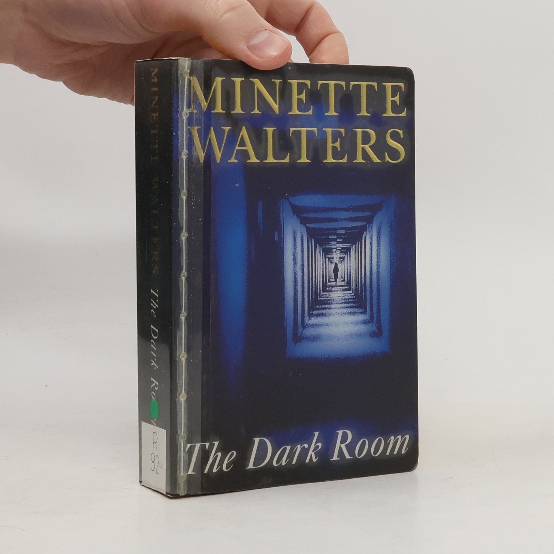 Minette Walter The Dark Room