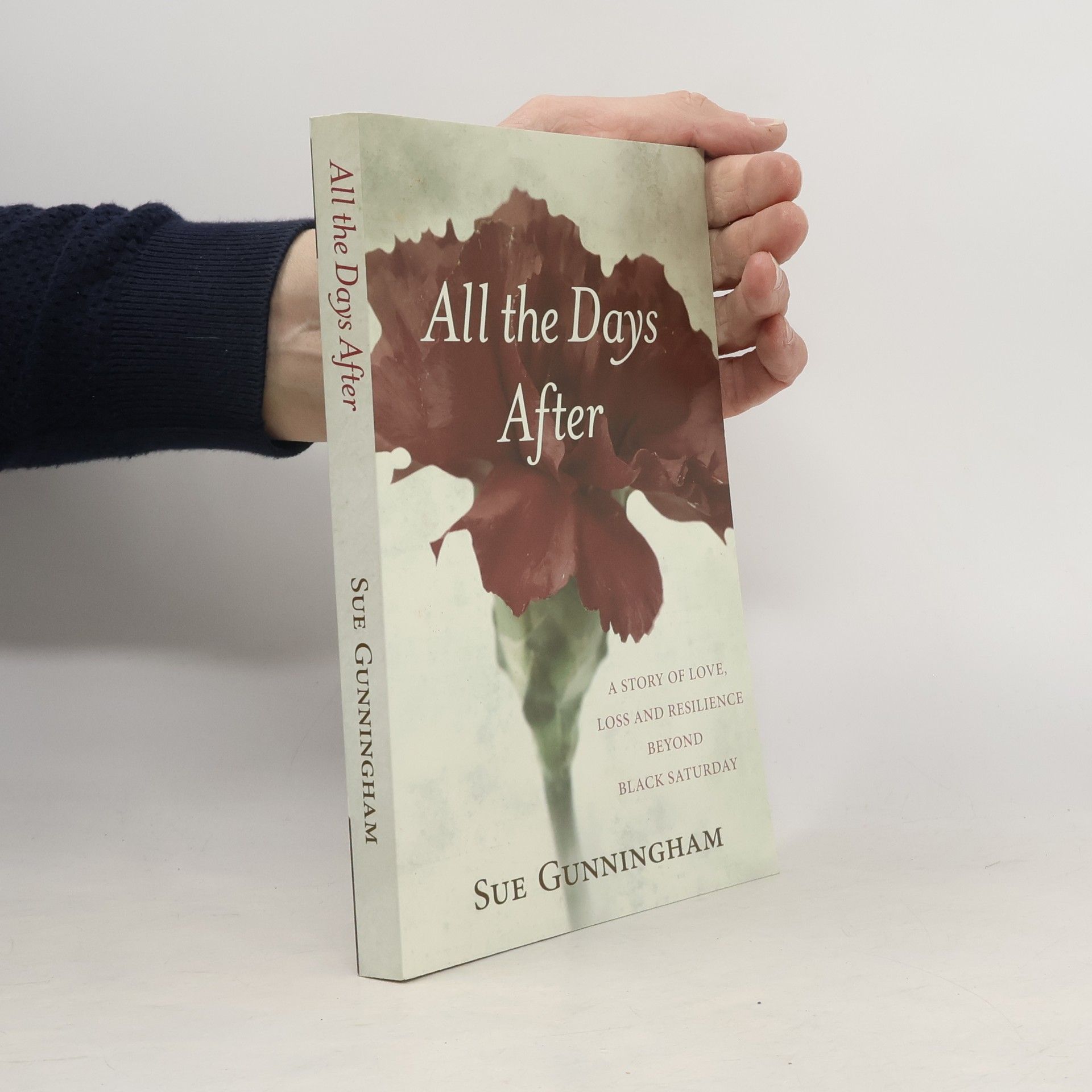 Sue Gunningham All the Days After