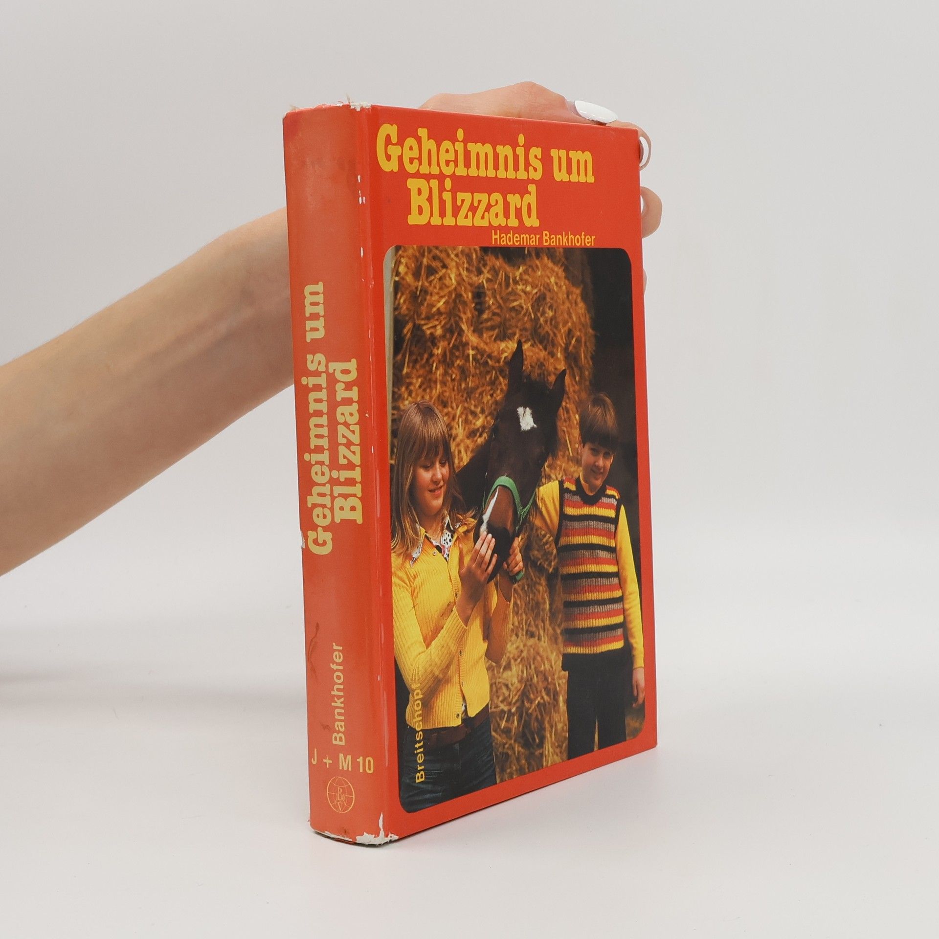 Hademar Bankhofer Geheimnis um Blizzard