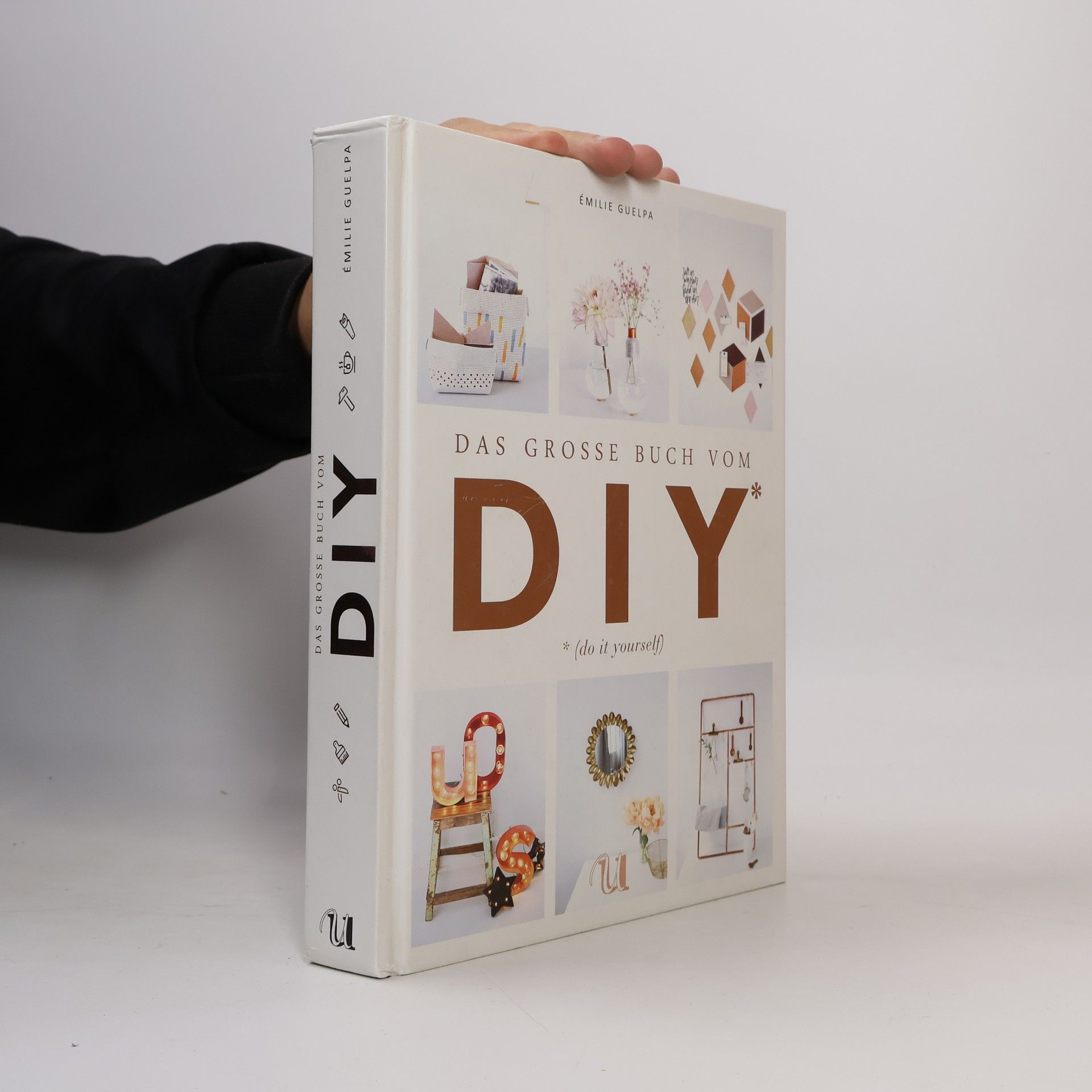 Émilie Guelpa Das große Buch vom DIY (do it yourself)