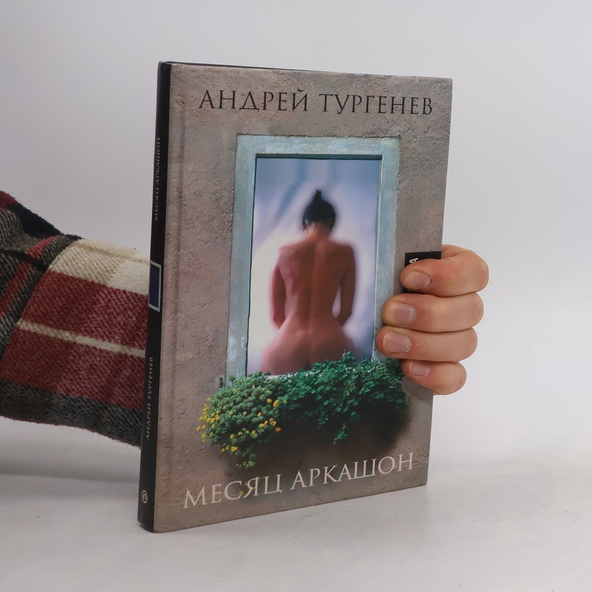 Viacheslav Nikolaevich Kuritsyn Месяц Аркашон