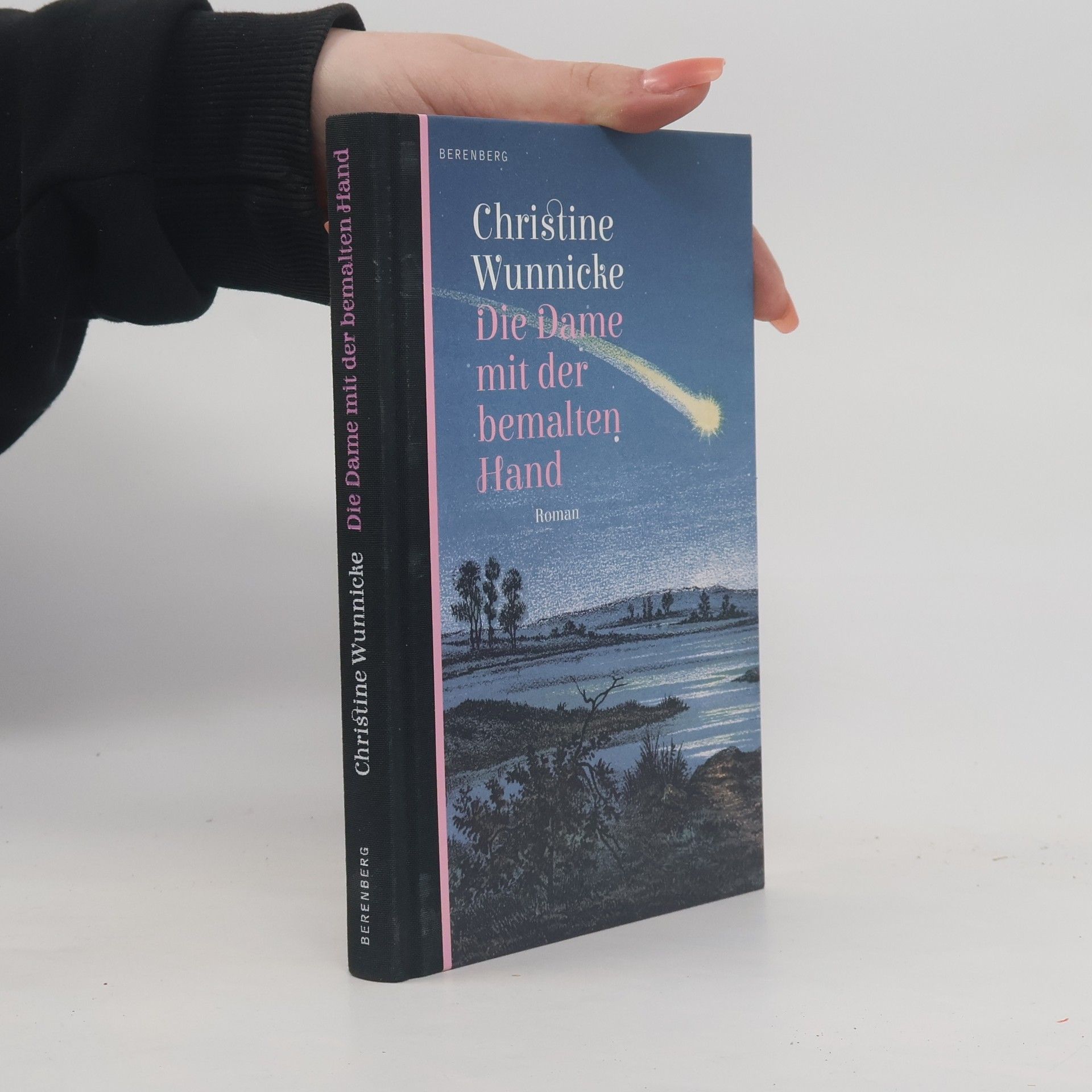 Christine Wunnicke Die Dame mit der bemalten Hand