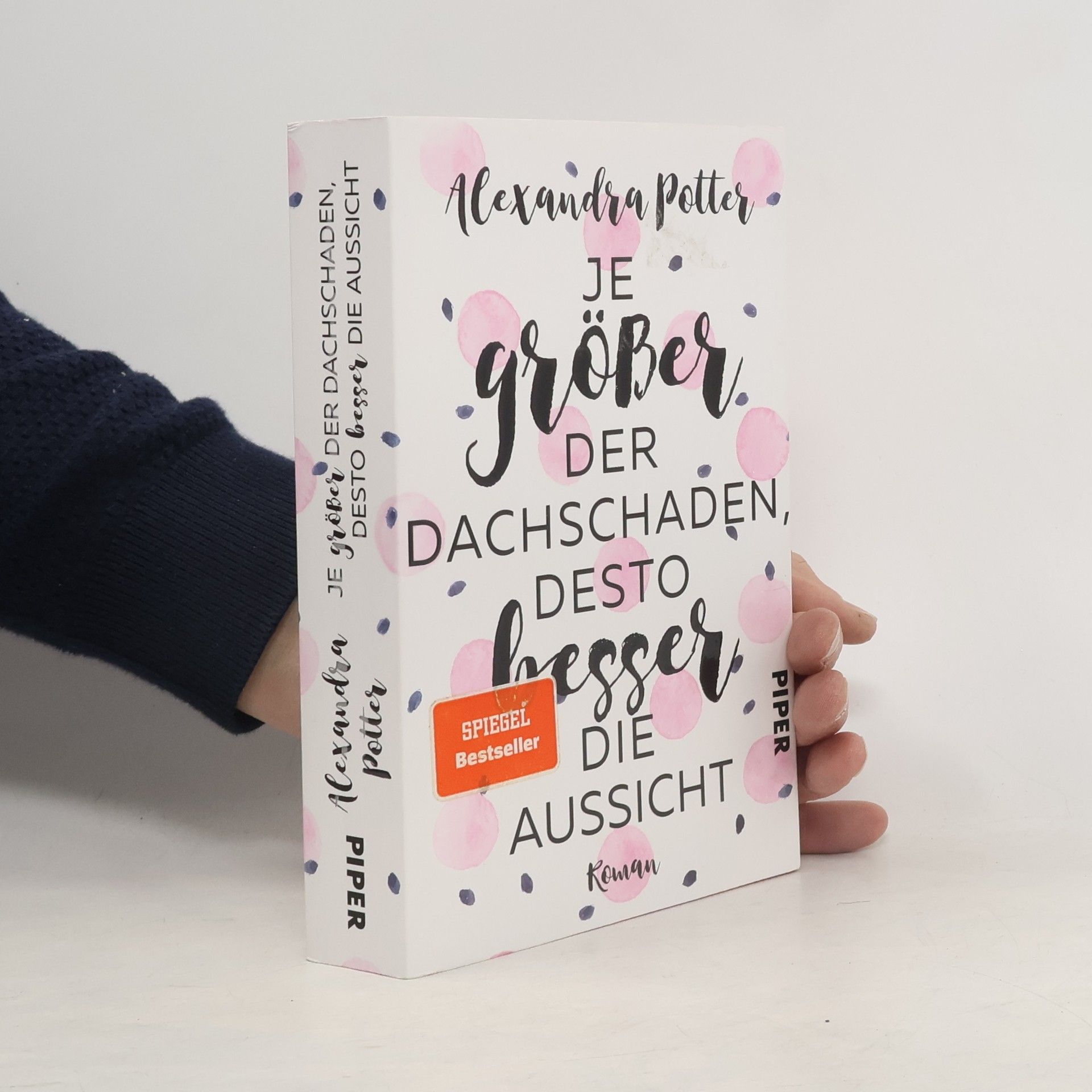 Alexandra Potter Je größer der Dachschaden, desto besser die Aussicht