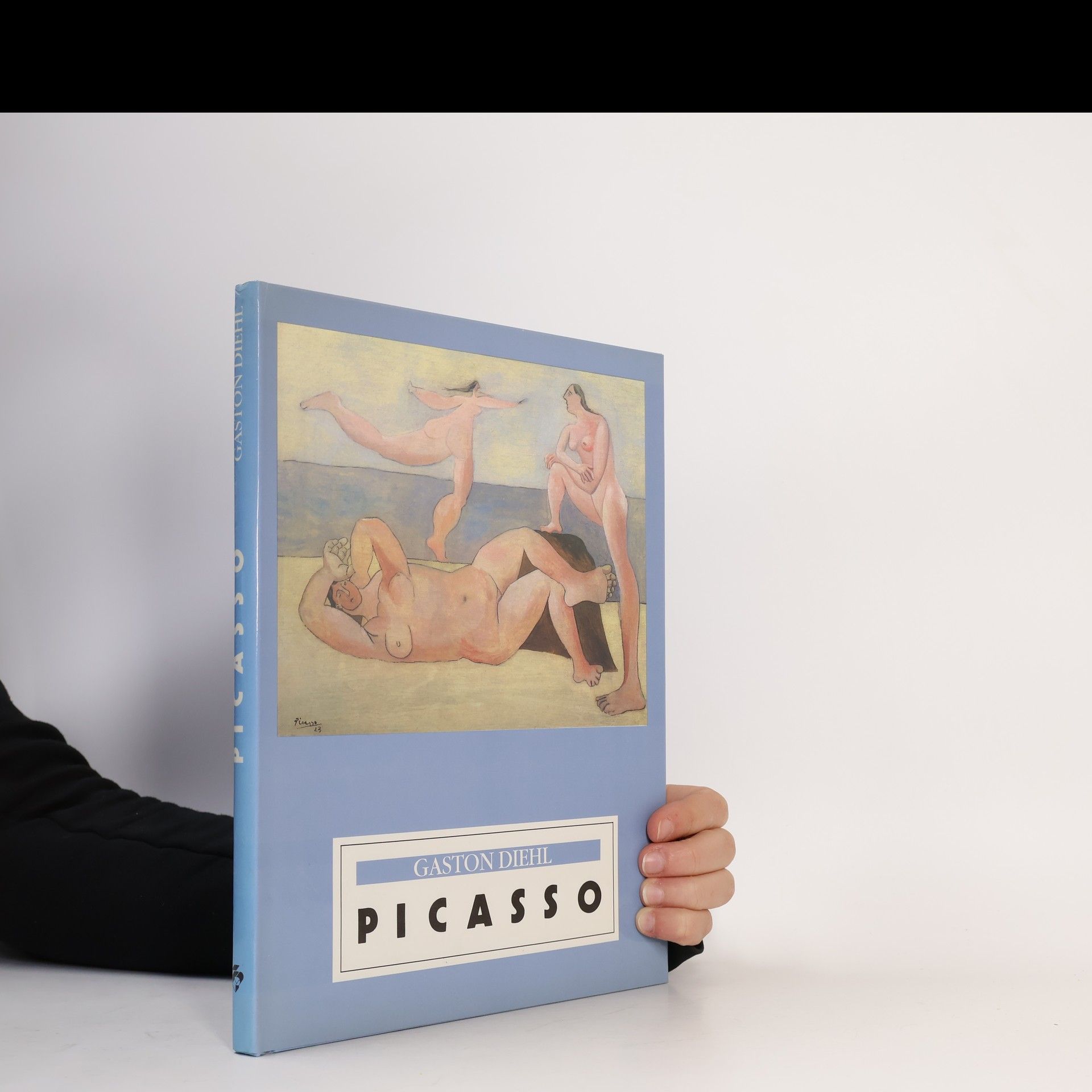 Gaston Diehl Picasso