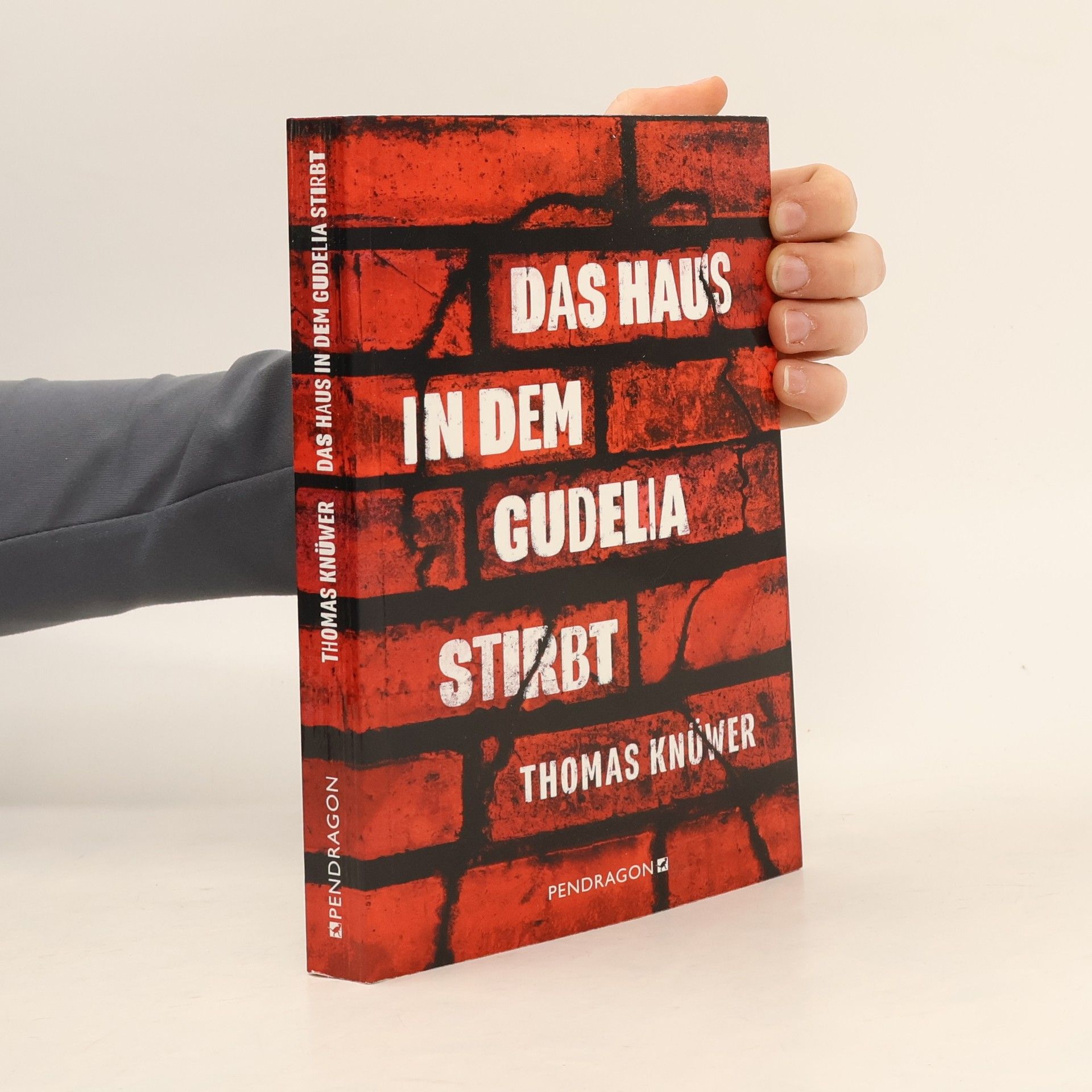 Thomas Knüwer Das Haus in dem Gudelia stirbt. Kriminalroman