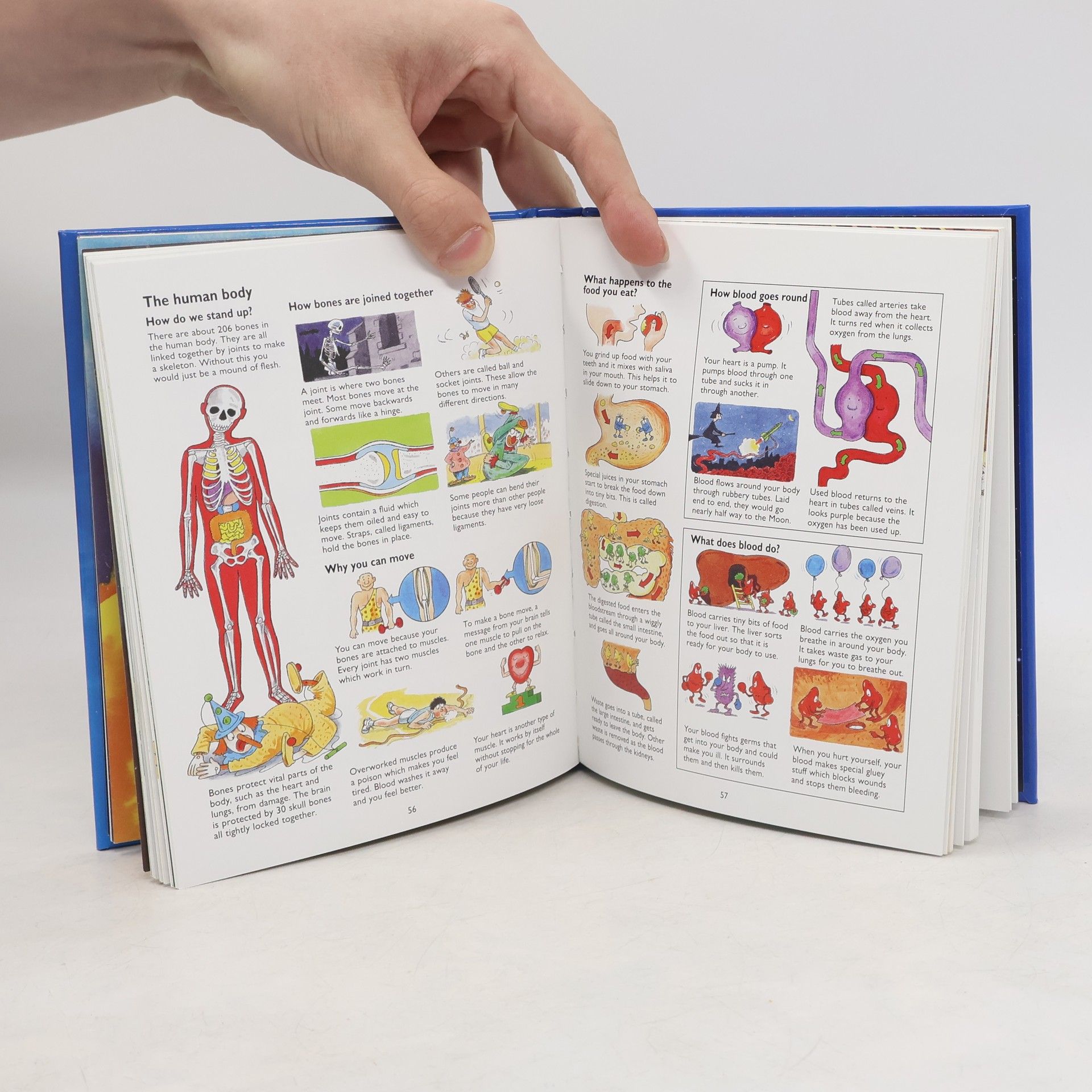Jane Elliott The Usborne Children's Encyclopedia