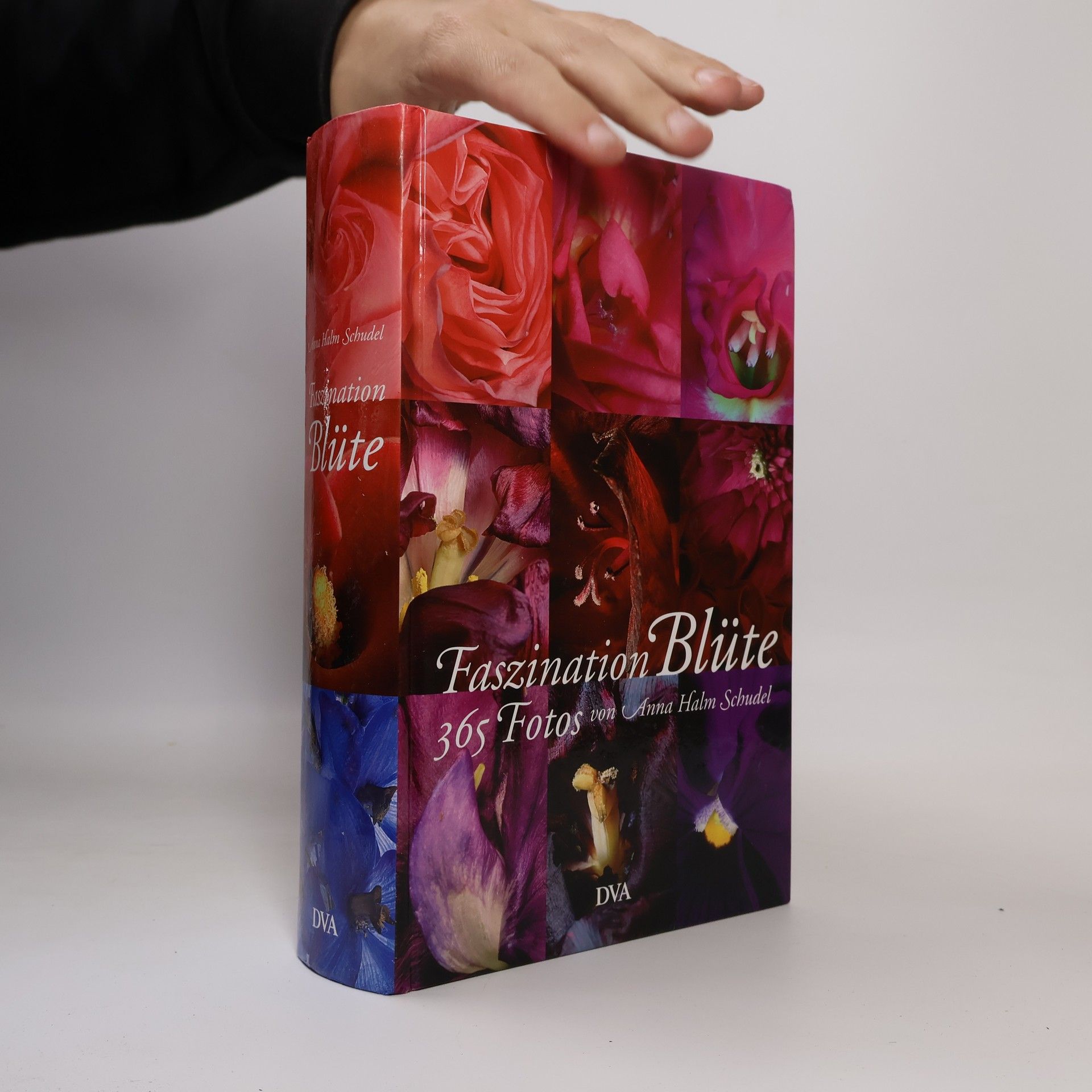 Anna Halm Schudel Faszination Blüte