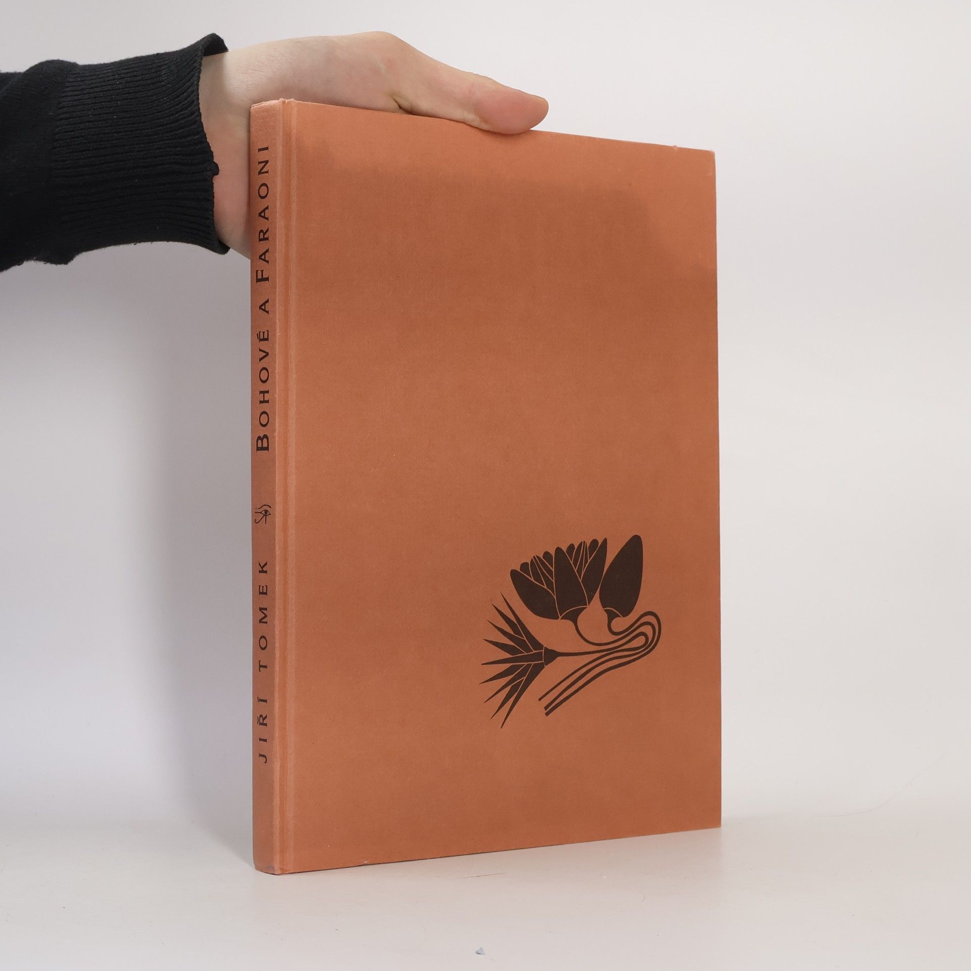 Jiří Tomek Bohové a faraoni