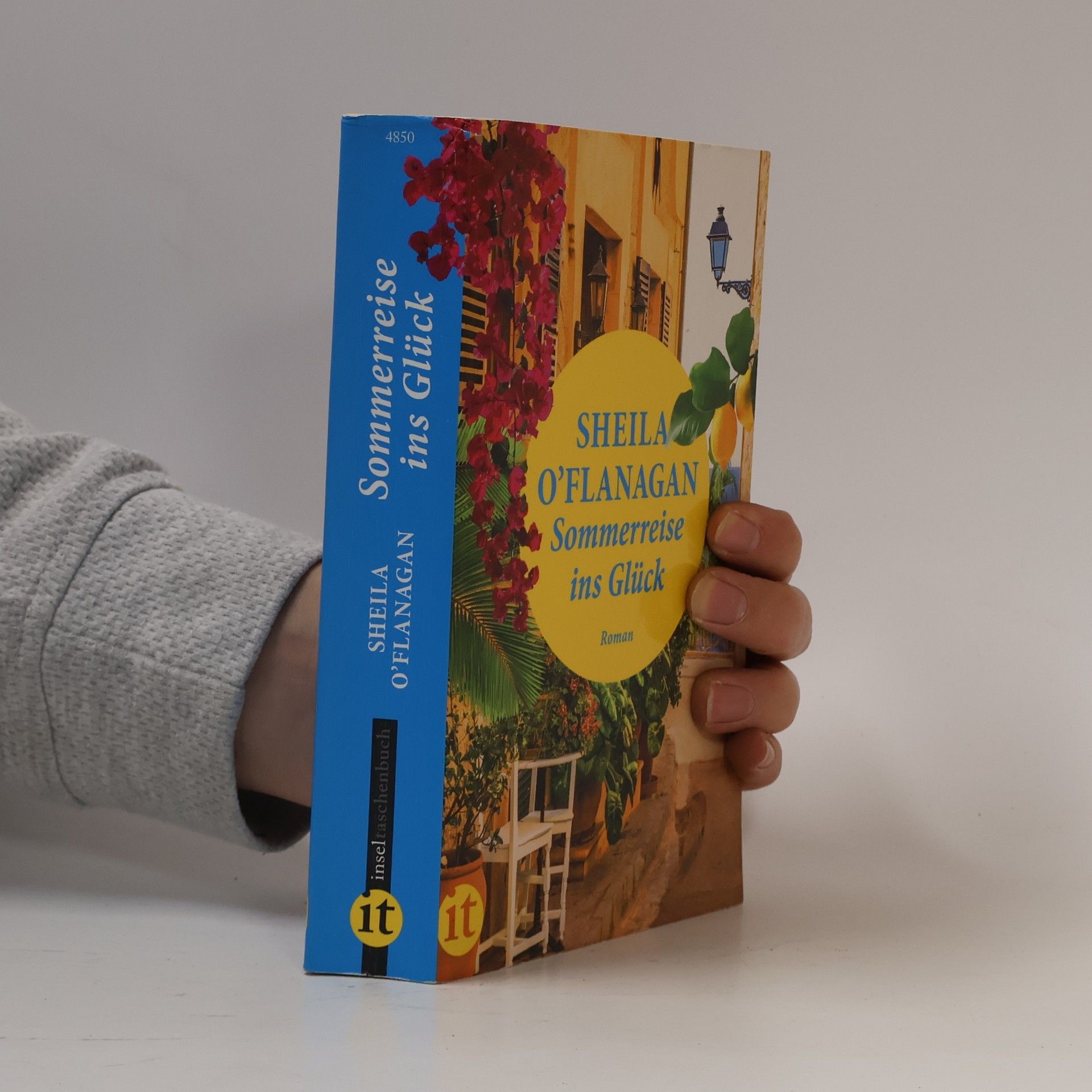 Sheila O’Flanagan Sommerreise ins Glück