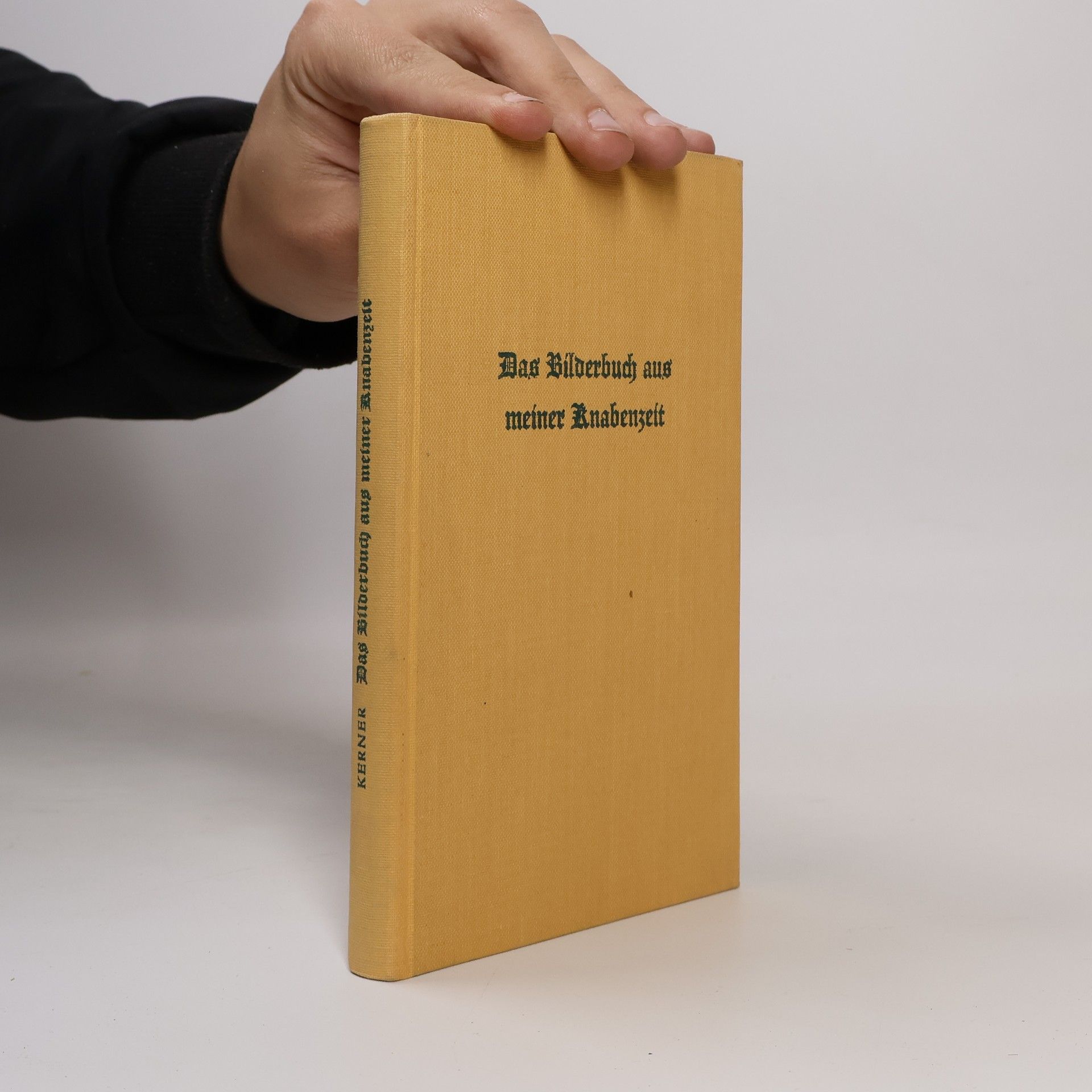 Das Bilderbuch aus meiner Knabenzeit