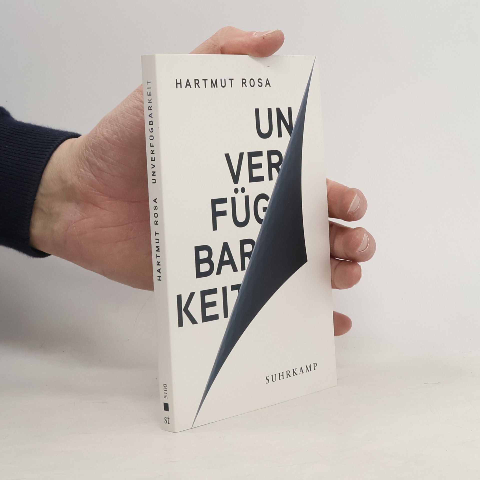 Hartmut Rosa Unverfügbarkeit