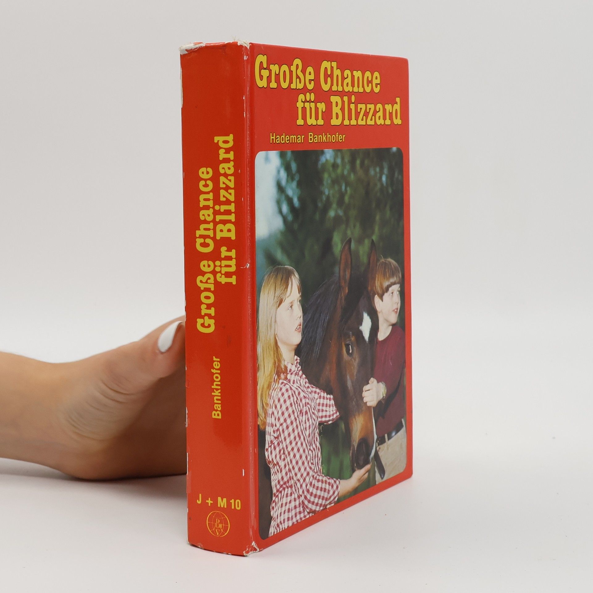 Hademar Bankhofer Große Chance für Blizzard