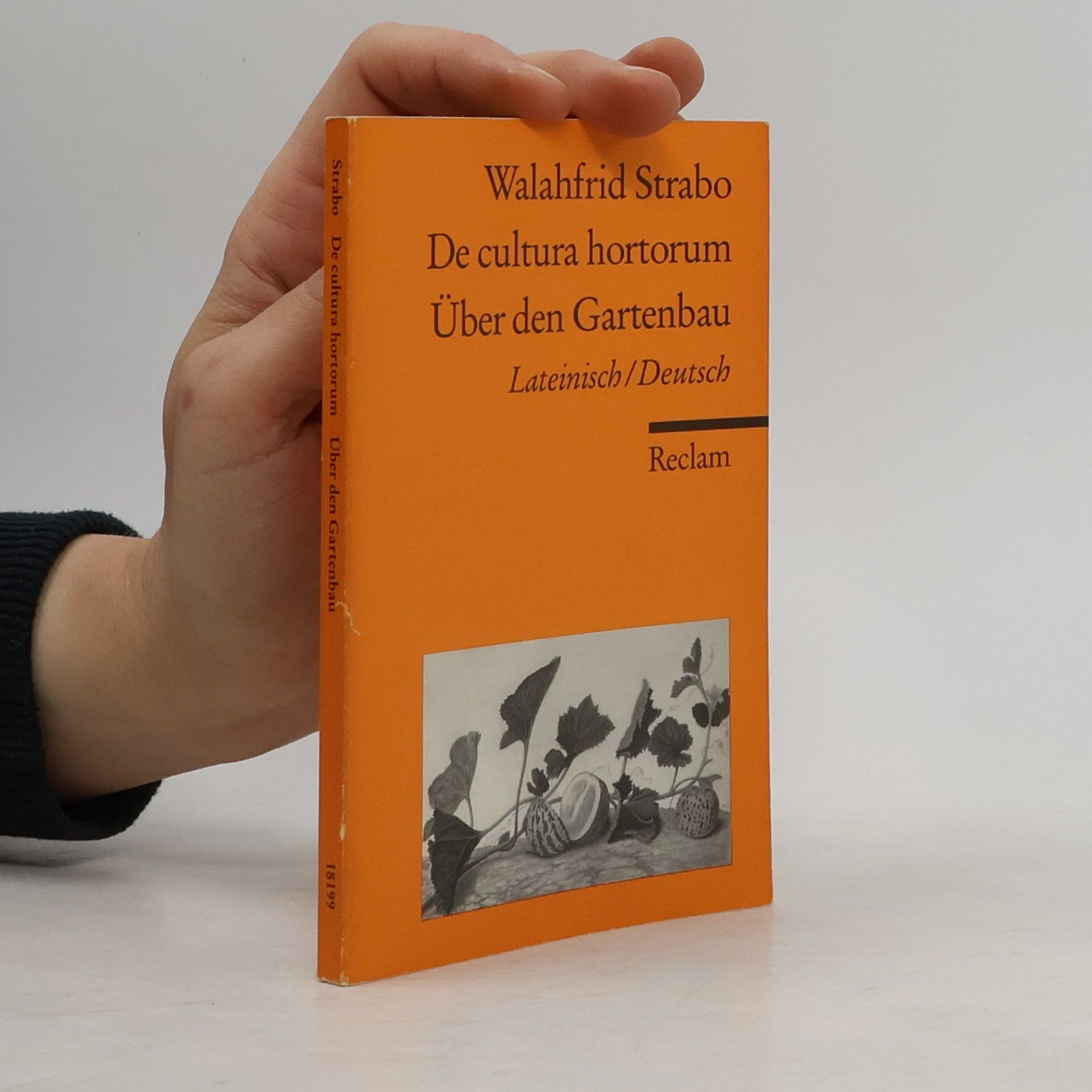 Walafrid Strabo De cultura hortorum