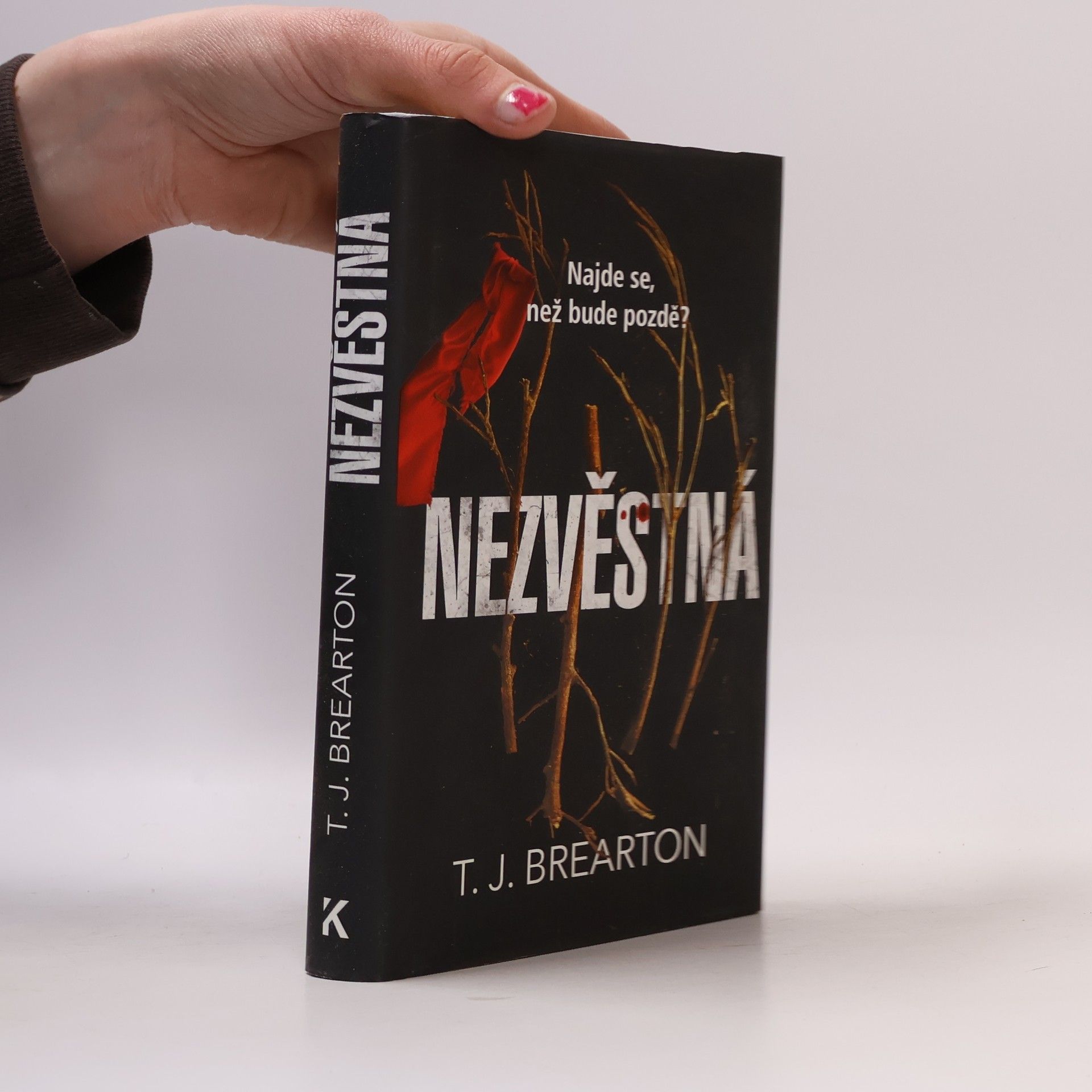 T. J. Brearton Nezvěstná